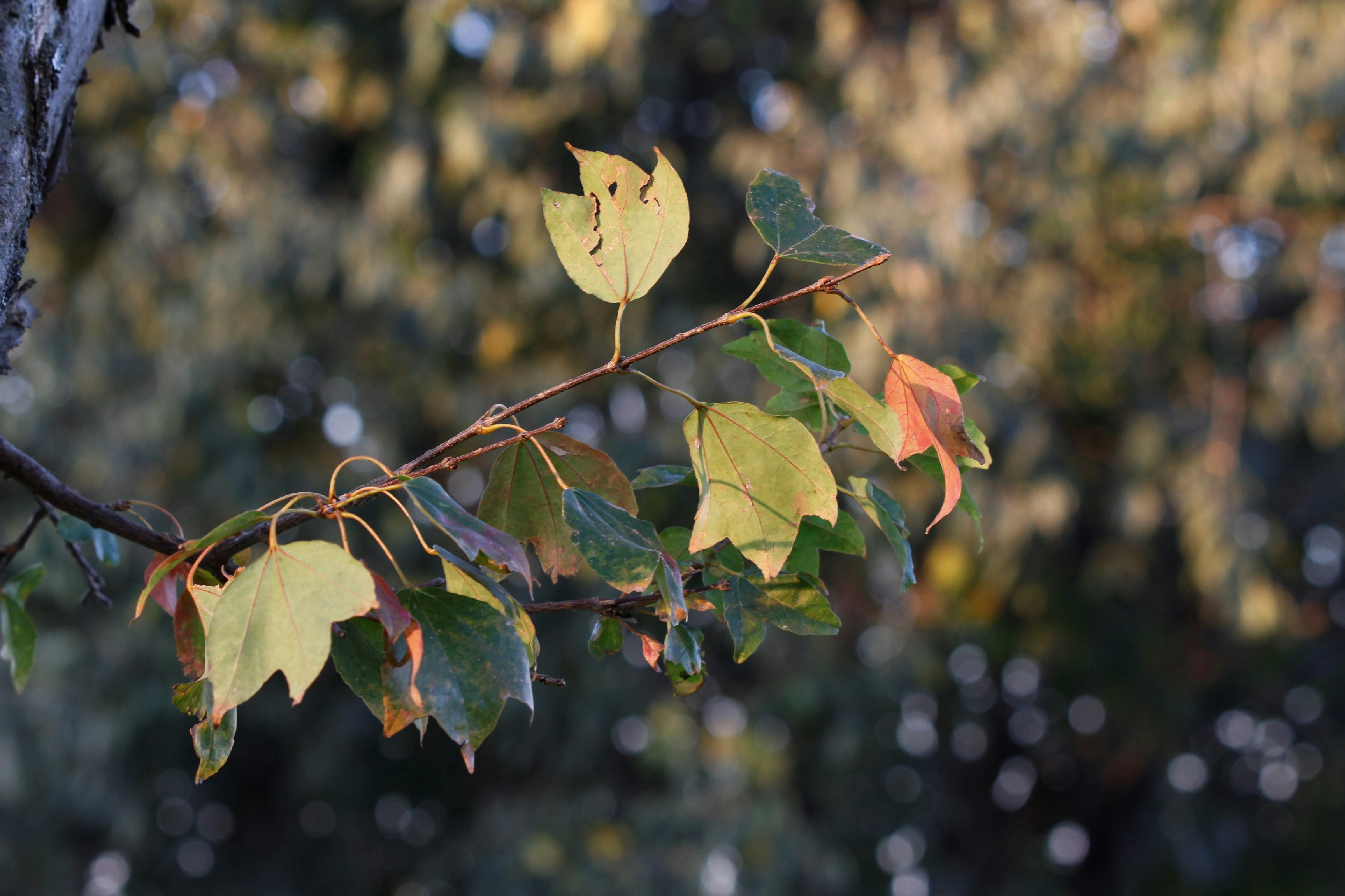 Photo by lena_bauermeister