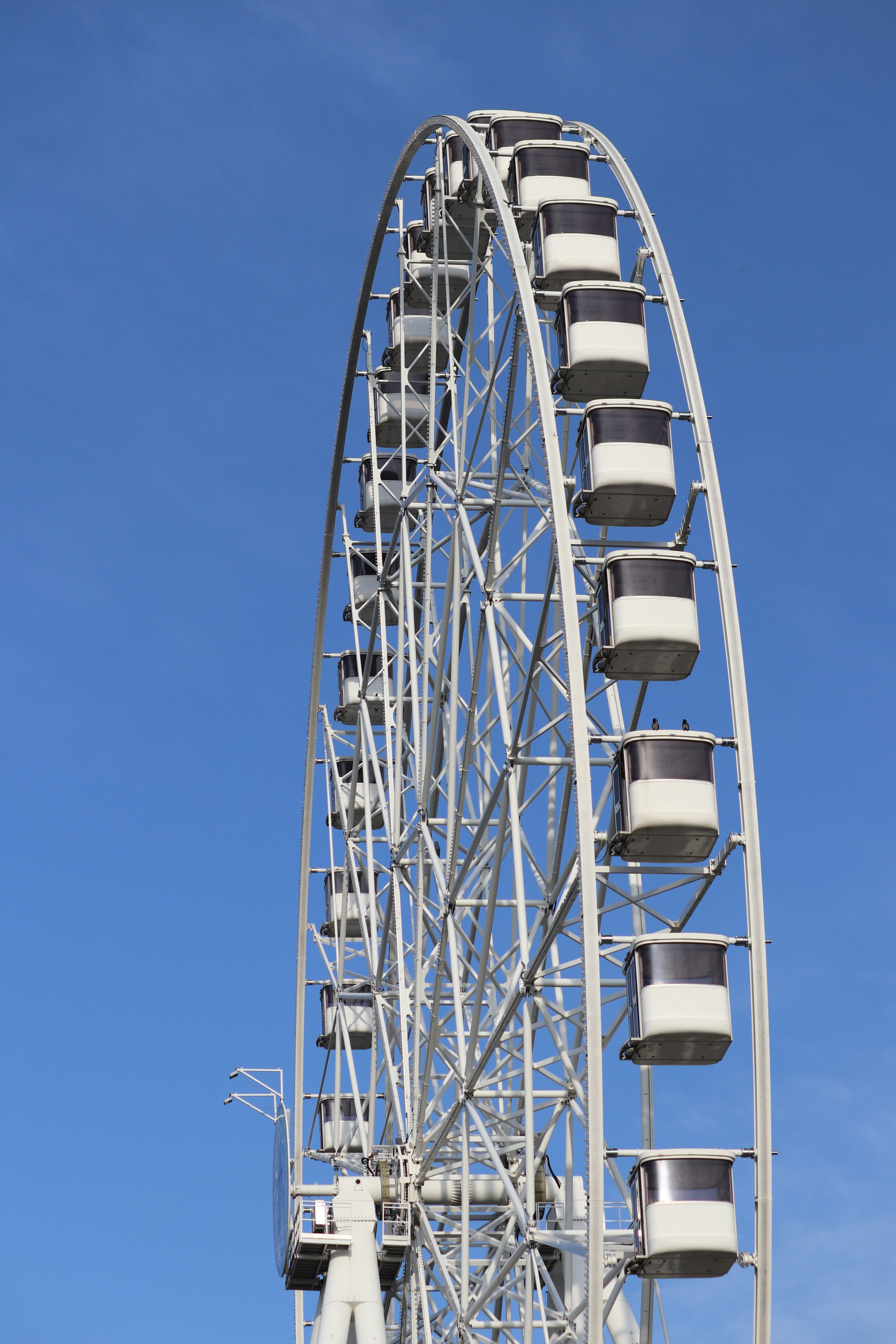 Photo by fotografialuivlad