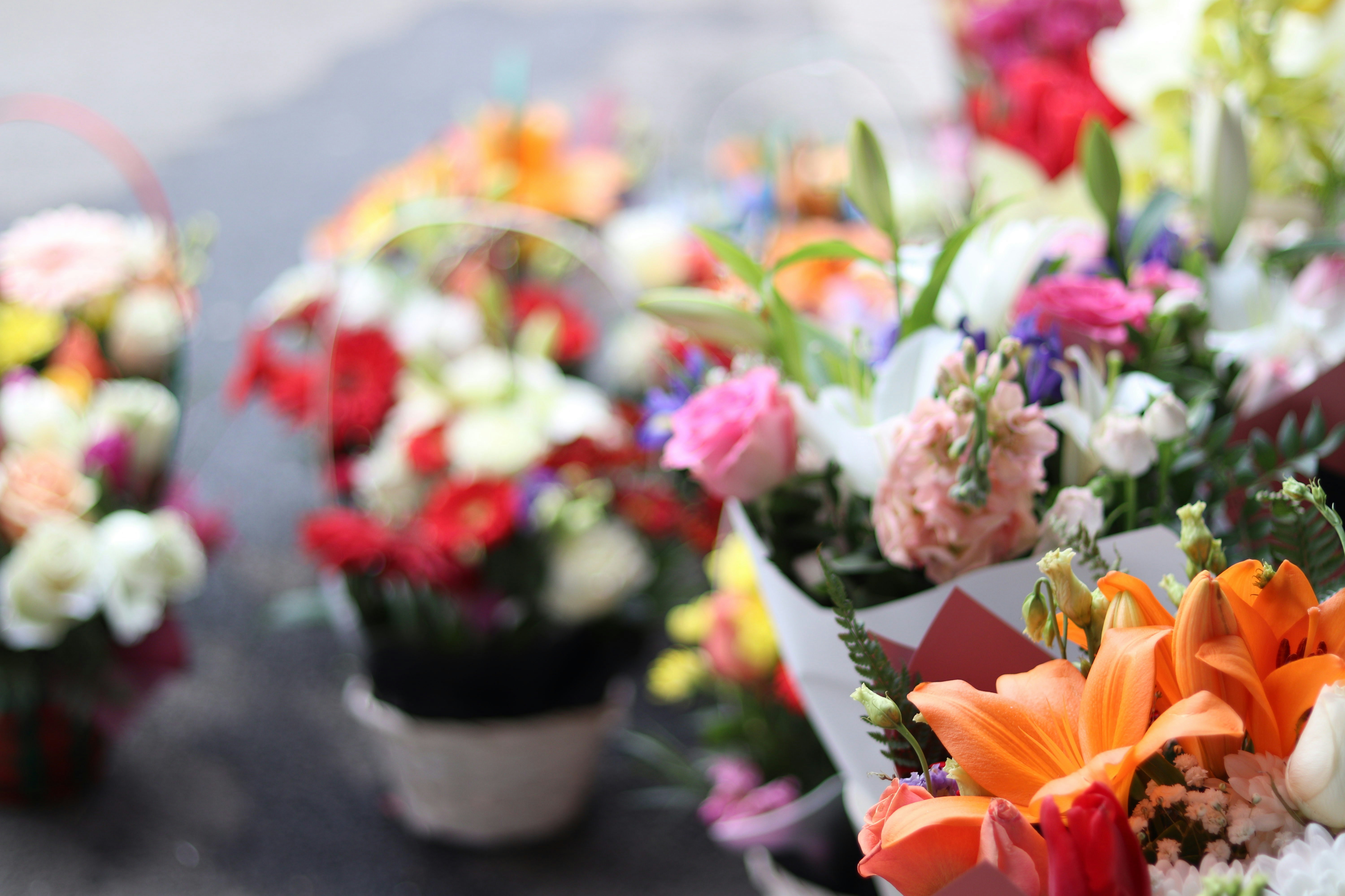 Photo by fotografialuivlad