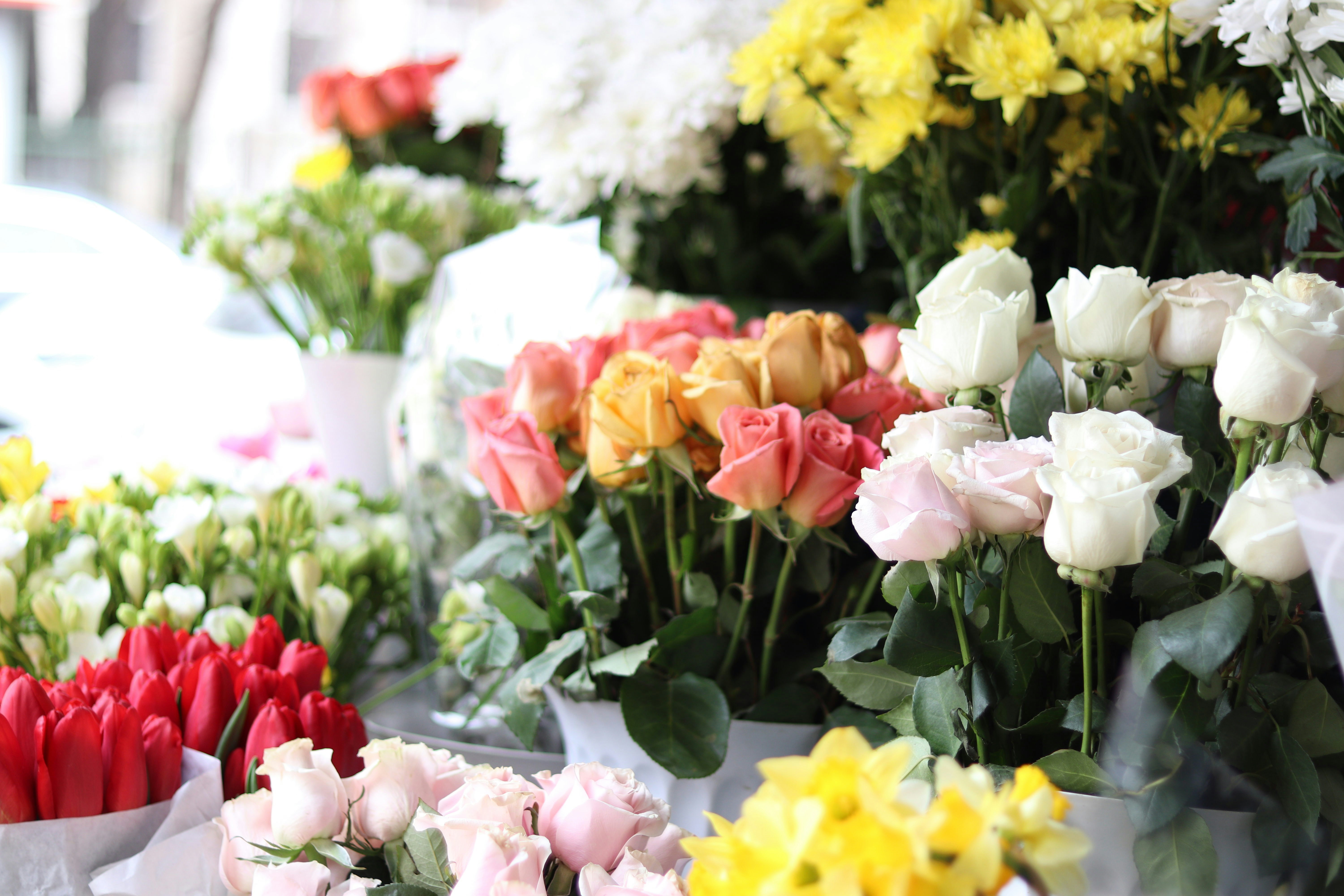 Photo by fotografialuivlad