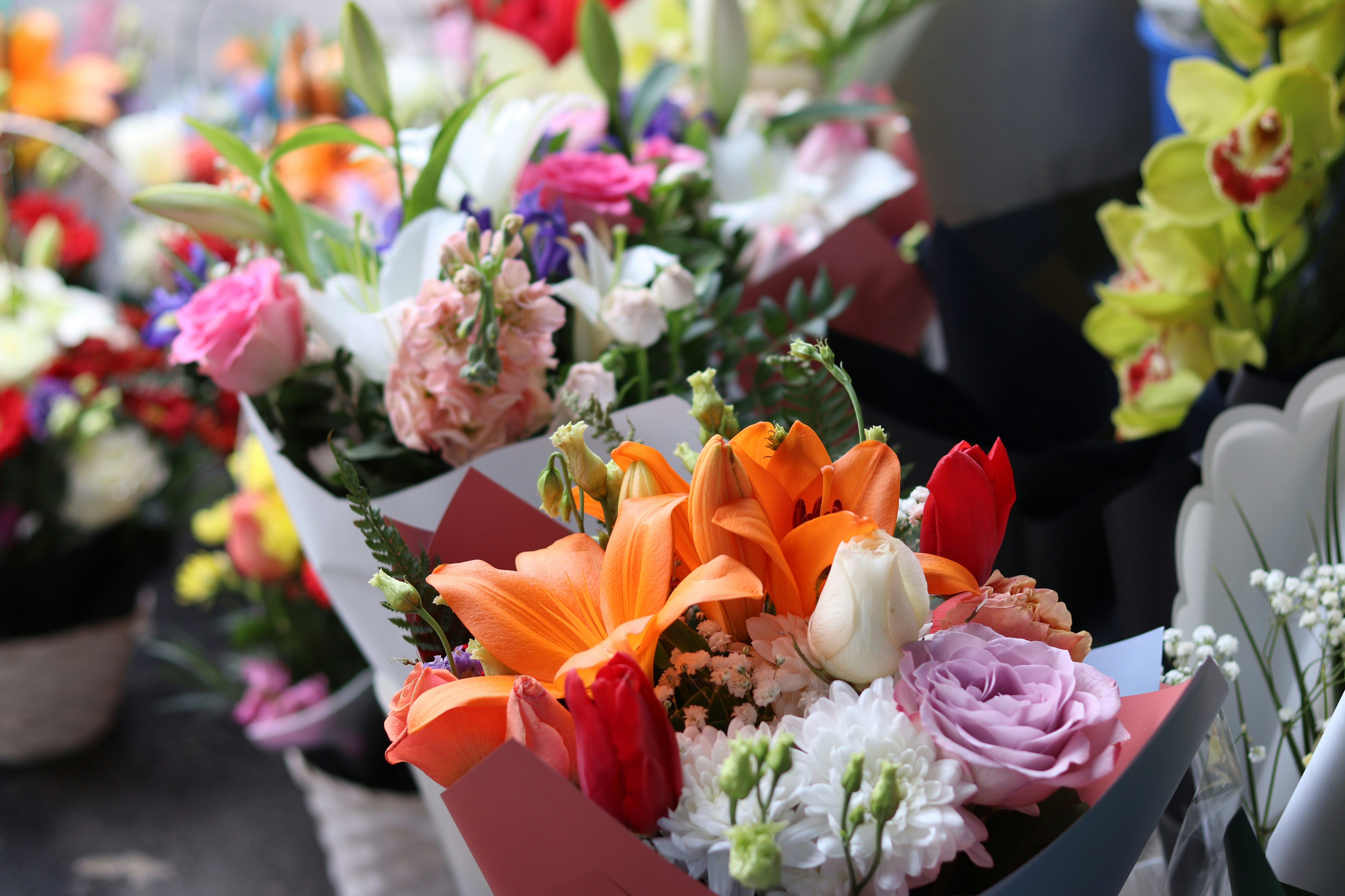 Photo by fotografialuivlad