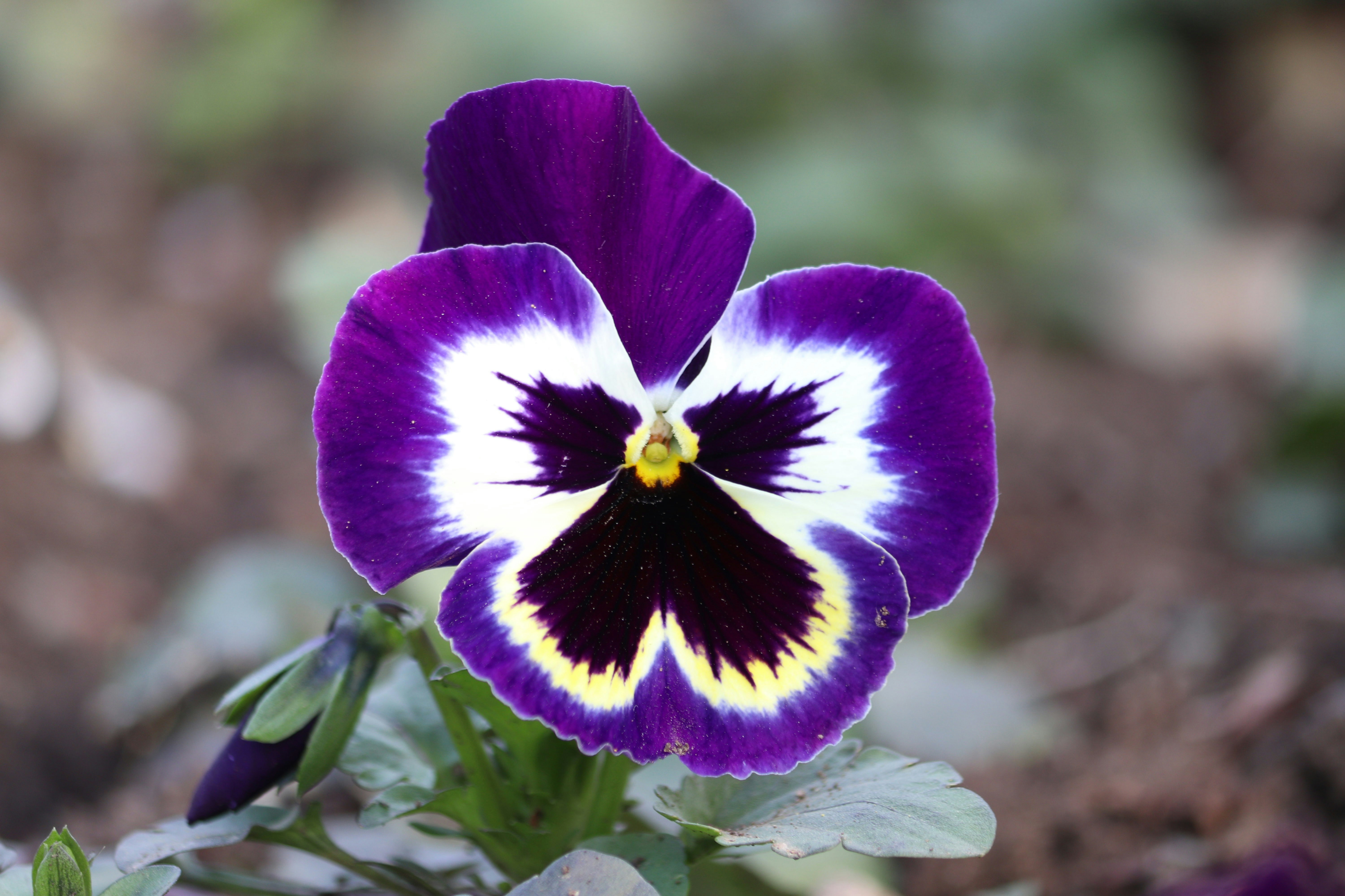 Photo by fotografialuivlad