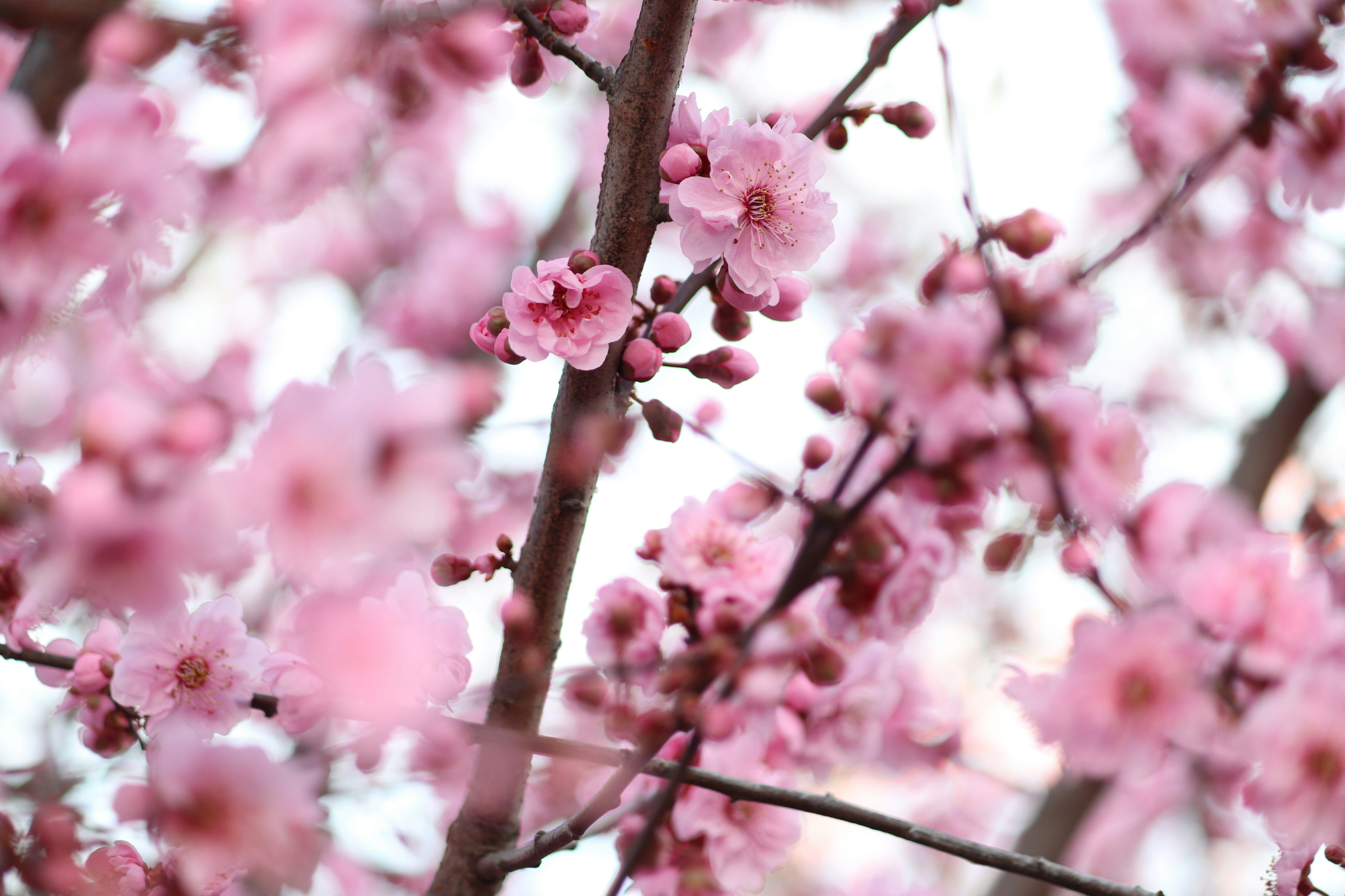 Photo by fotografialuivlad