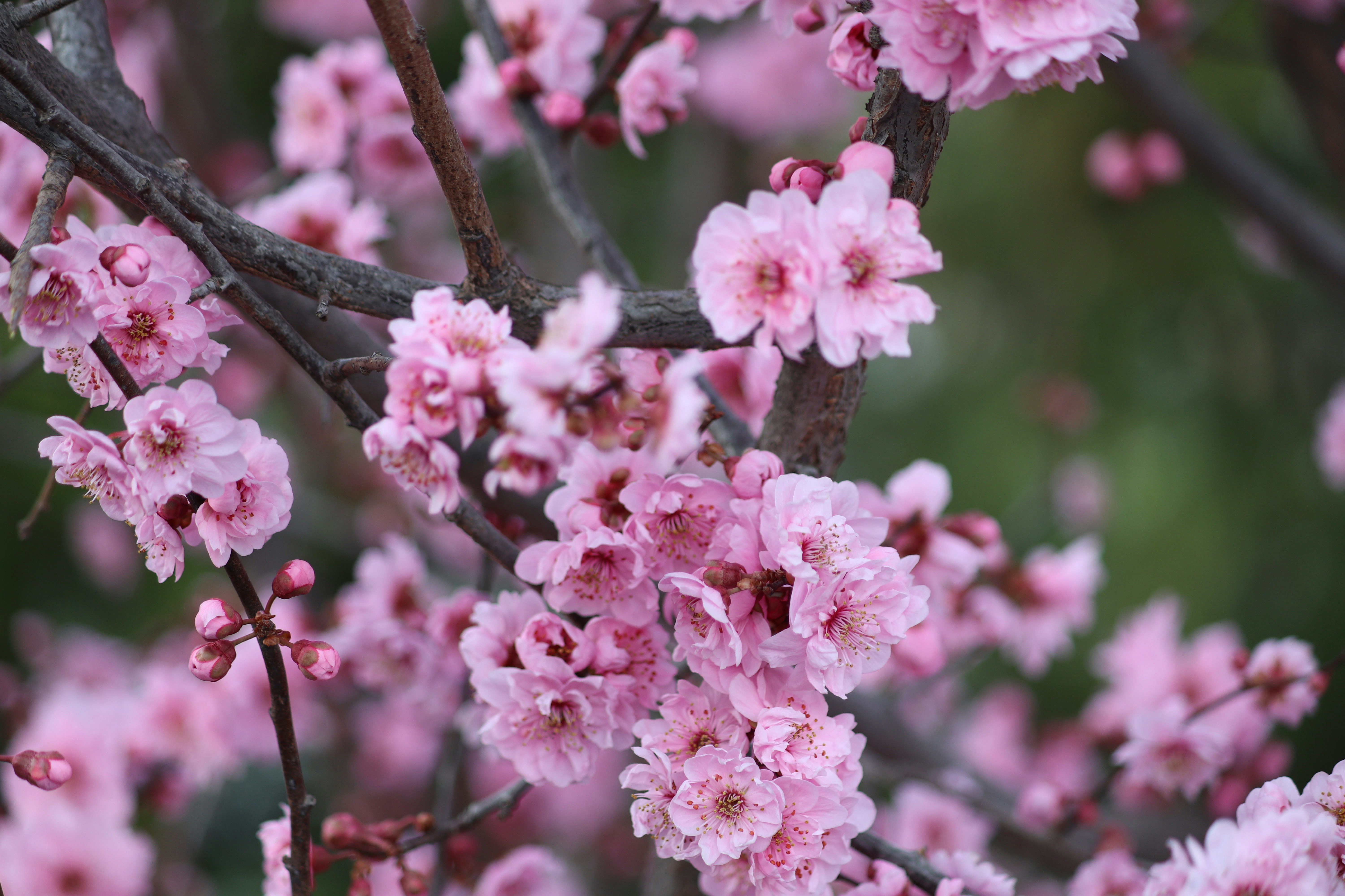 Photo by fotografialuivlad