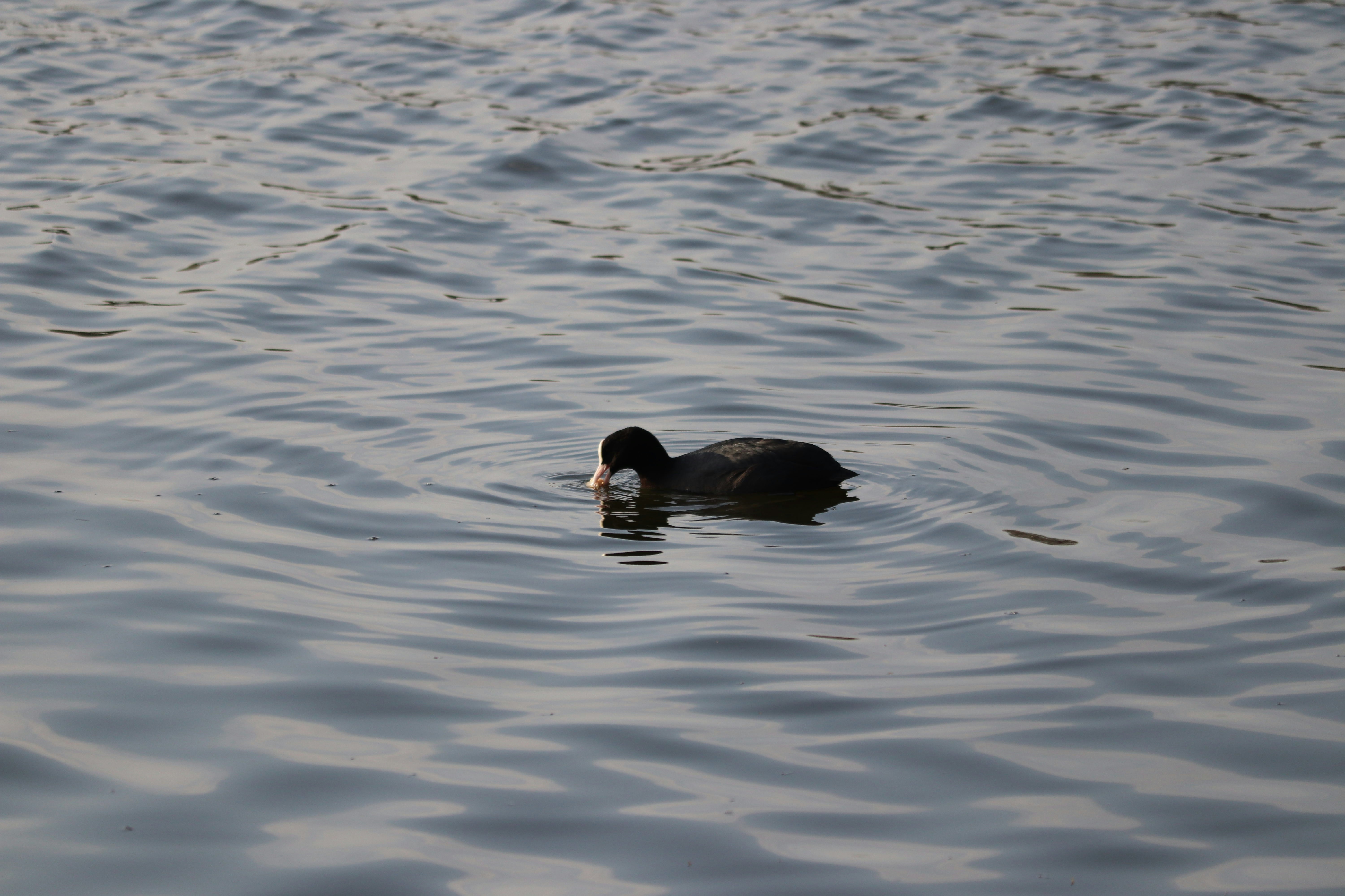 Photo by fotografialuivlad