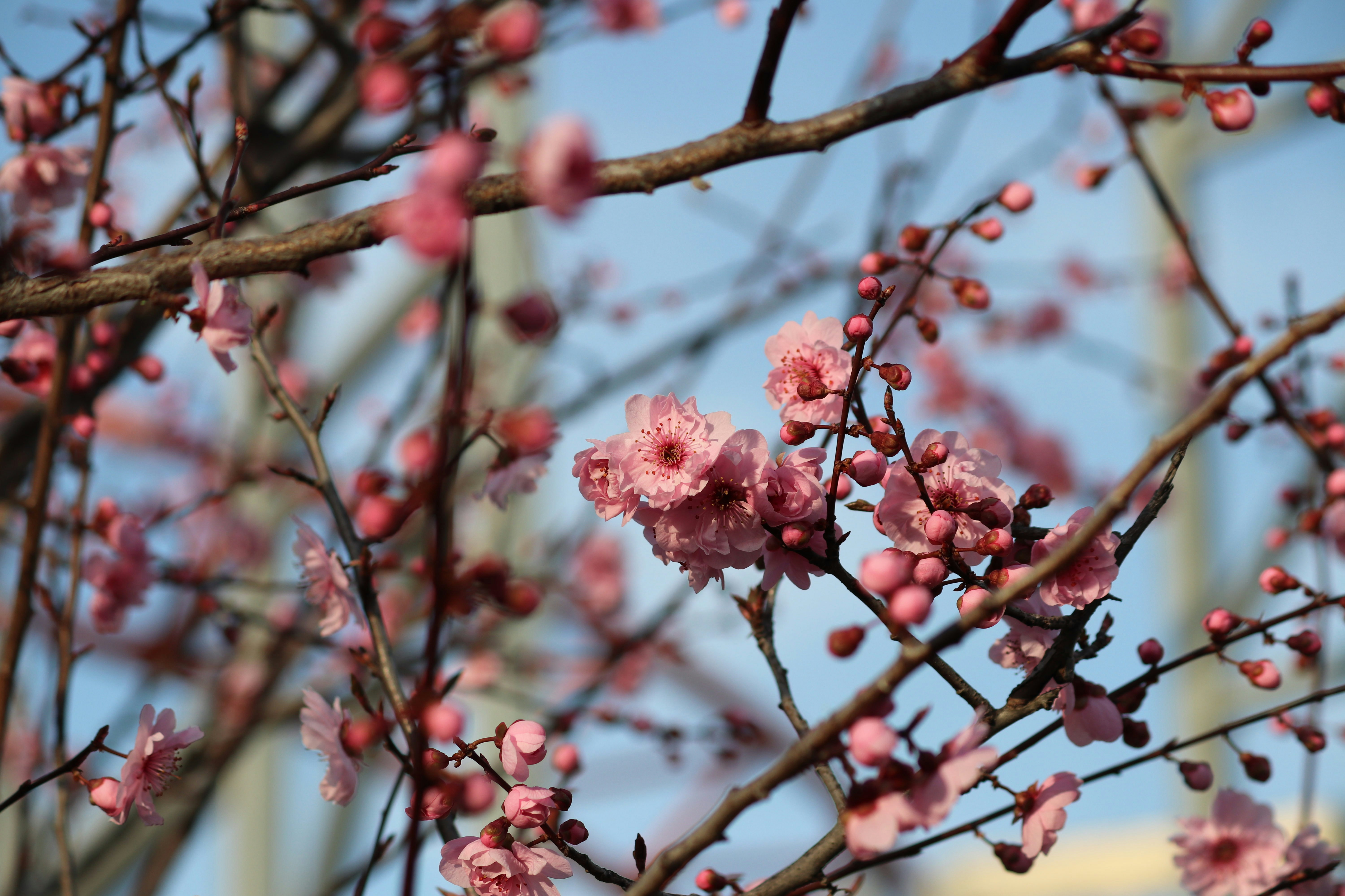 Photo by fotografialuivlad