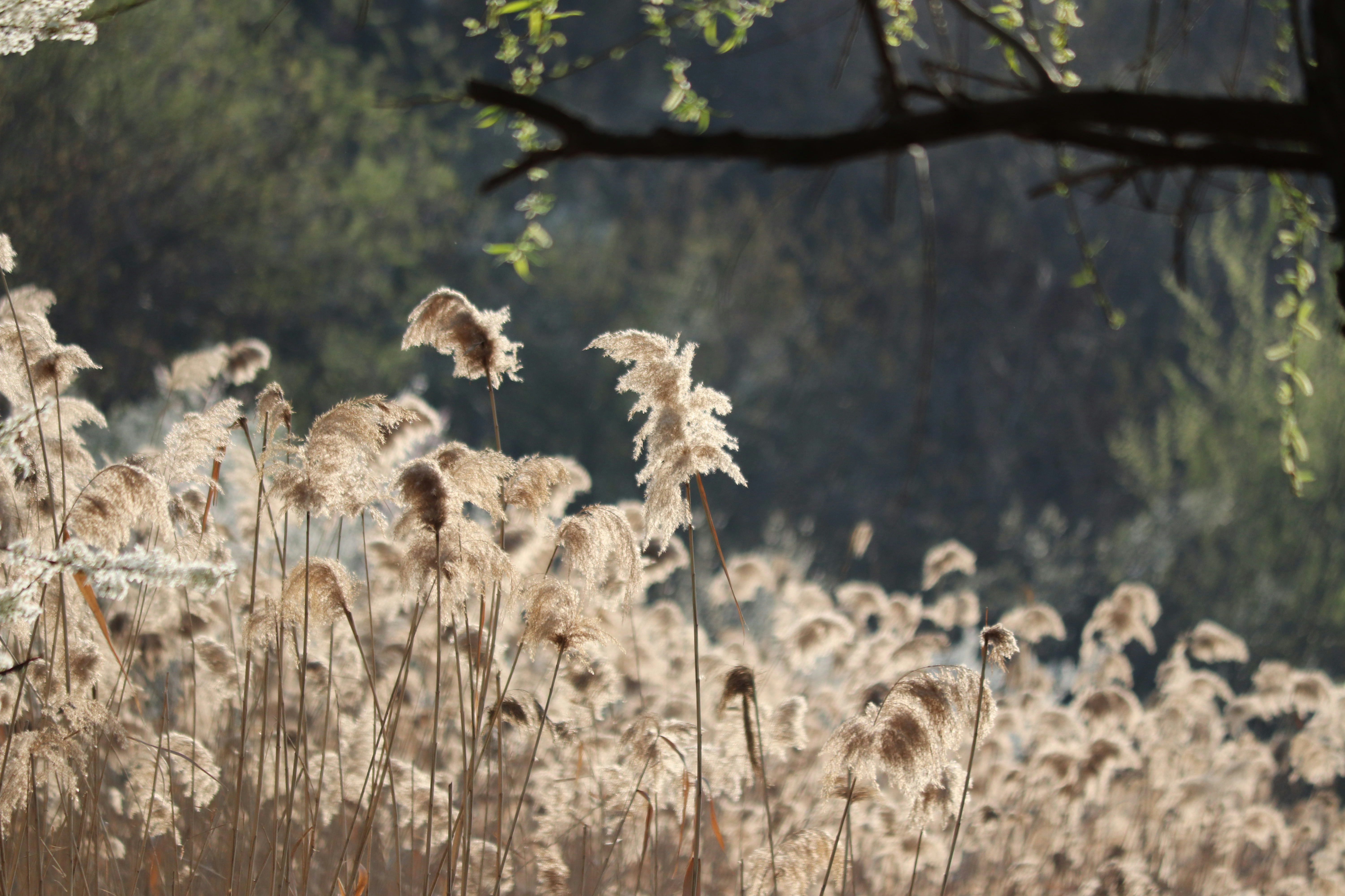 Photo by fotografialuivlad