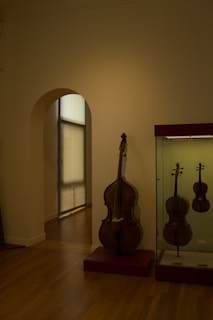 Musical instruments are displayed in a museum.