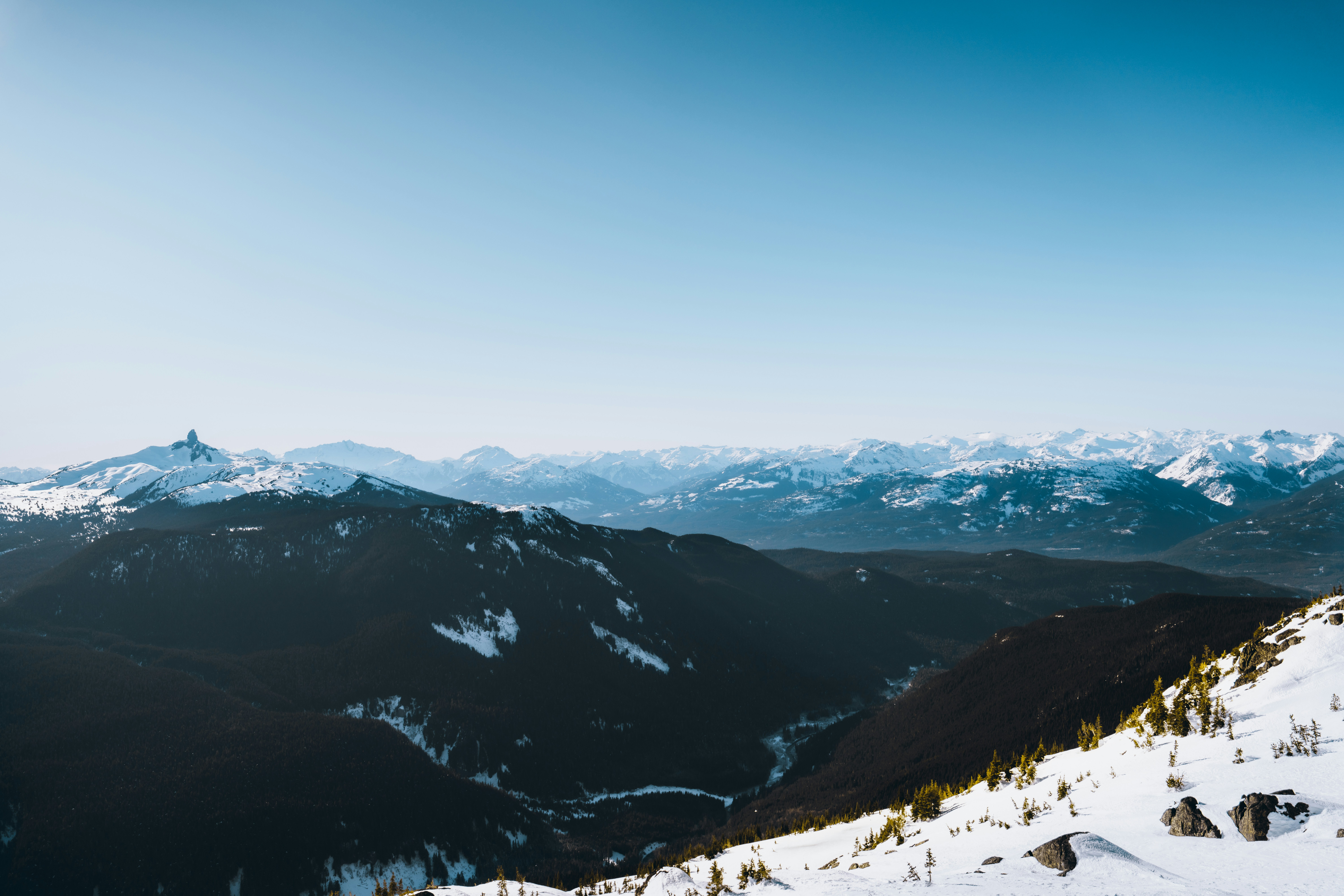 Photo by damiankravchuk