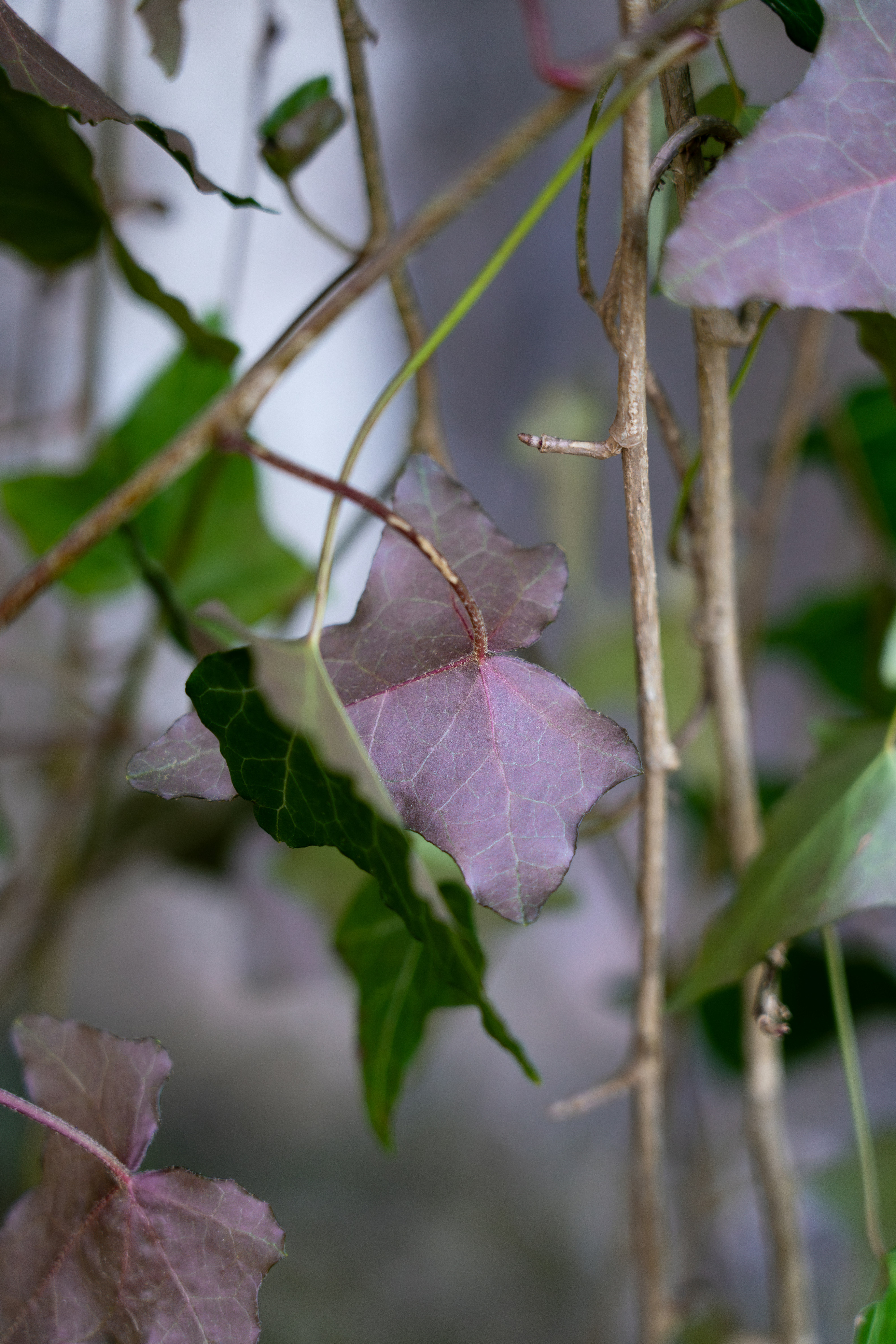 Photo by nathan030997