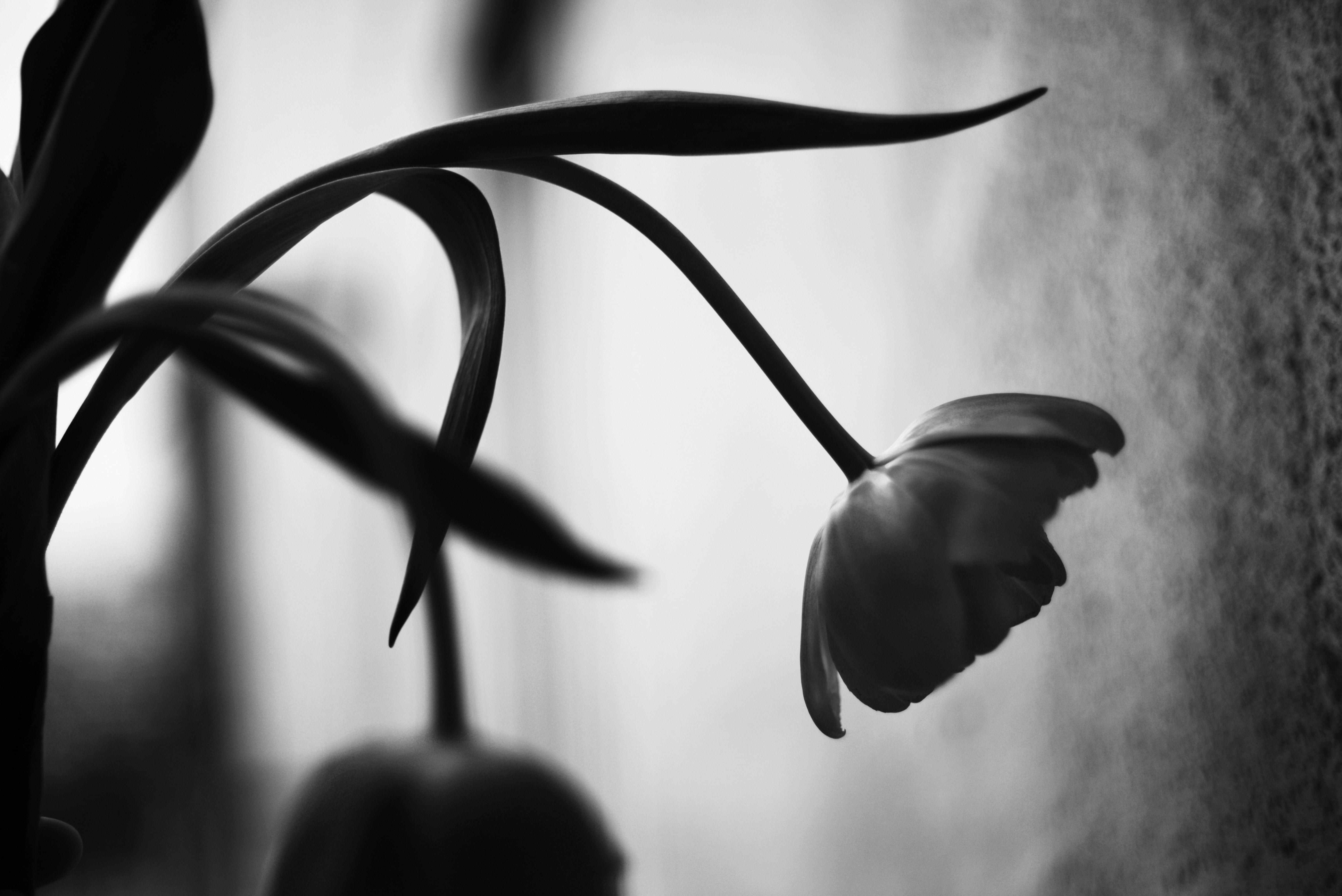 Photo by cherstve_pechivo