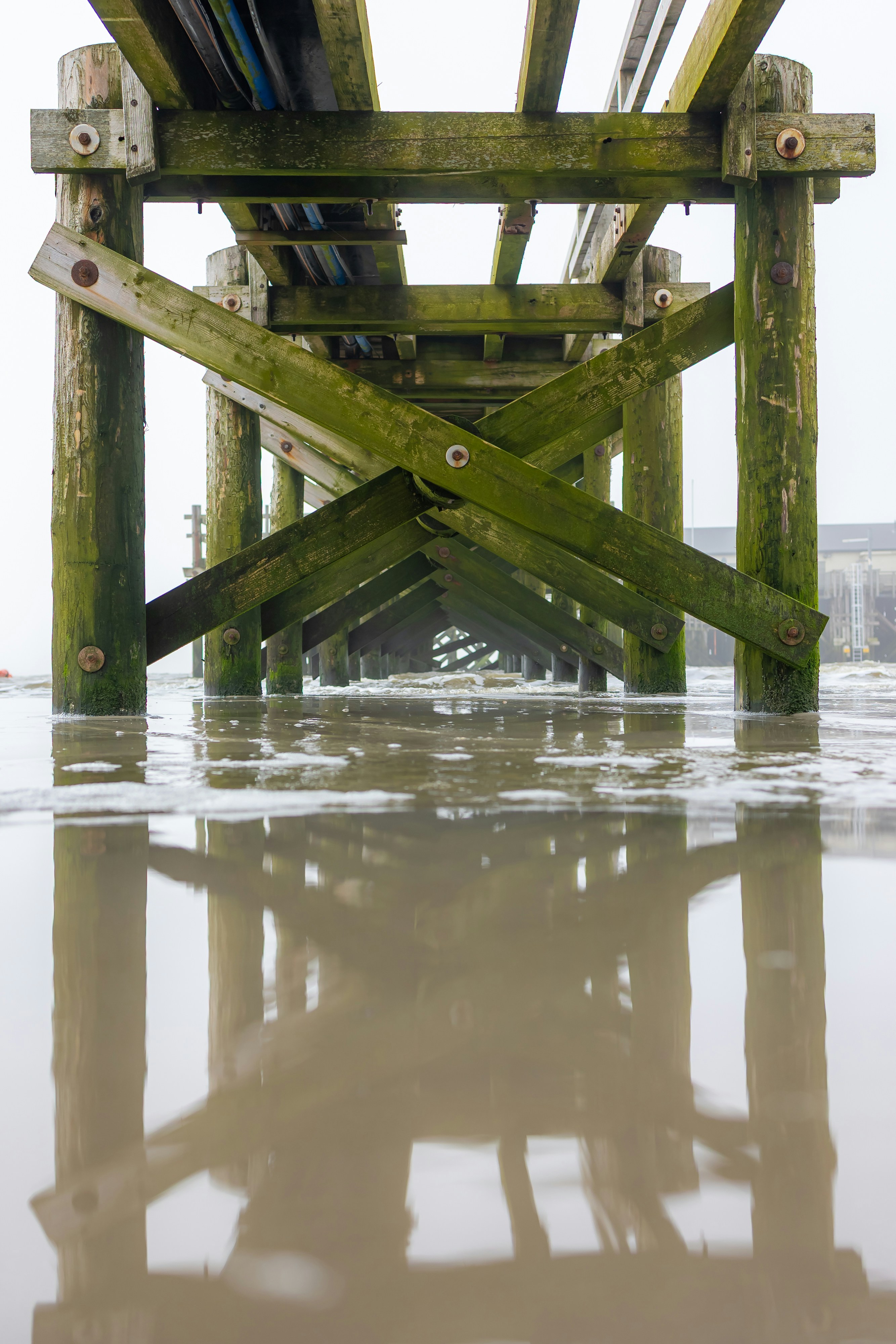 Photo by marvinradke