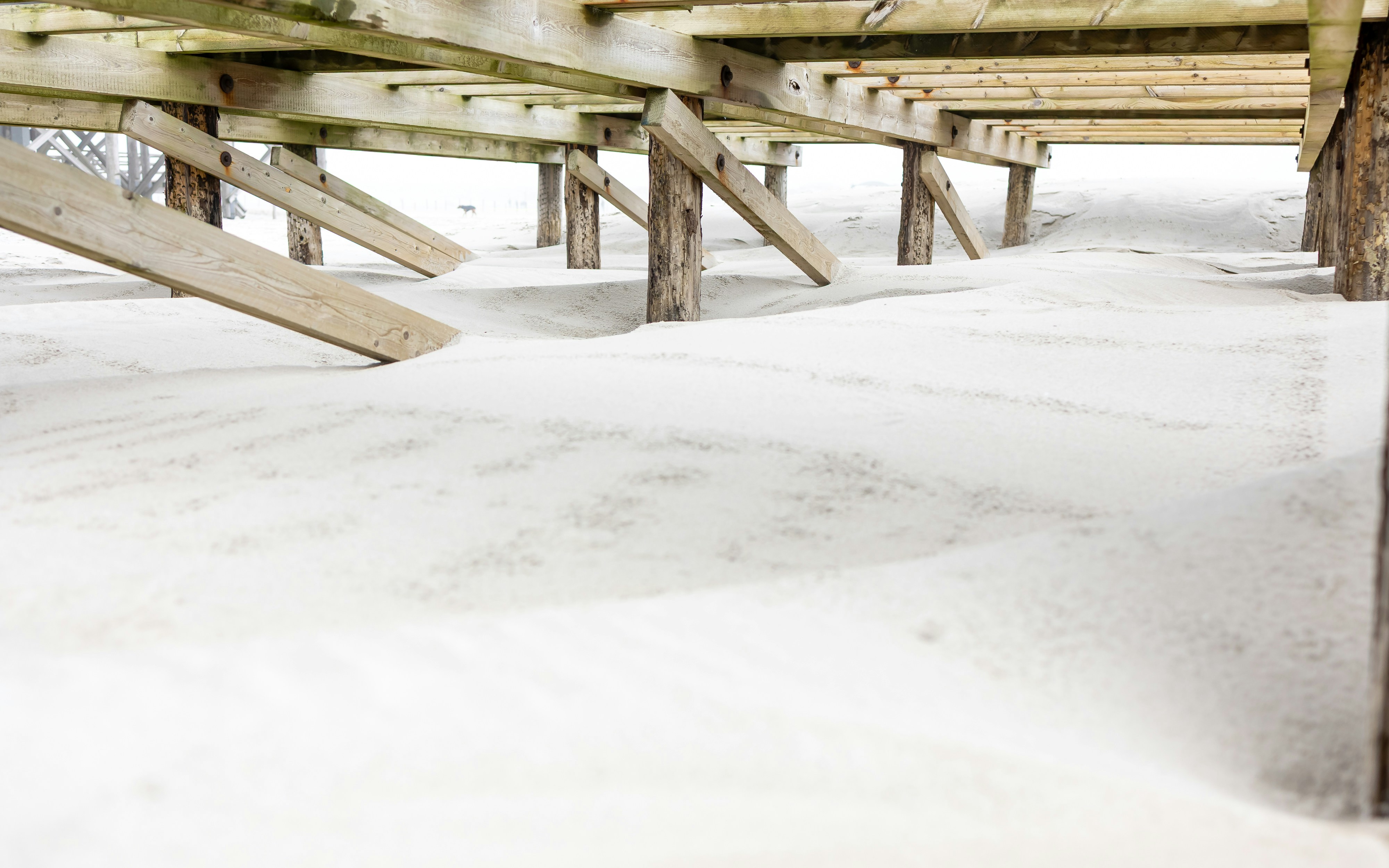 Photo by marvinradke