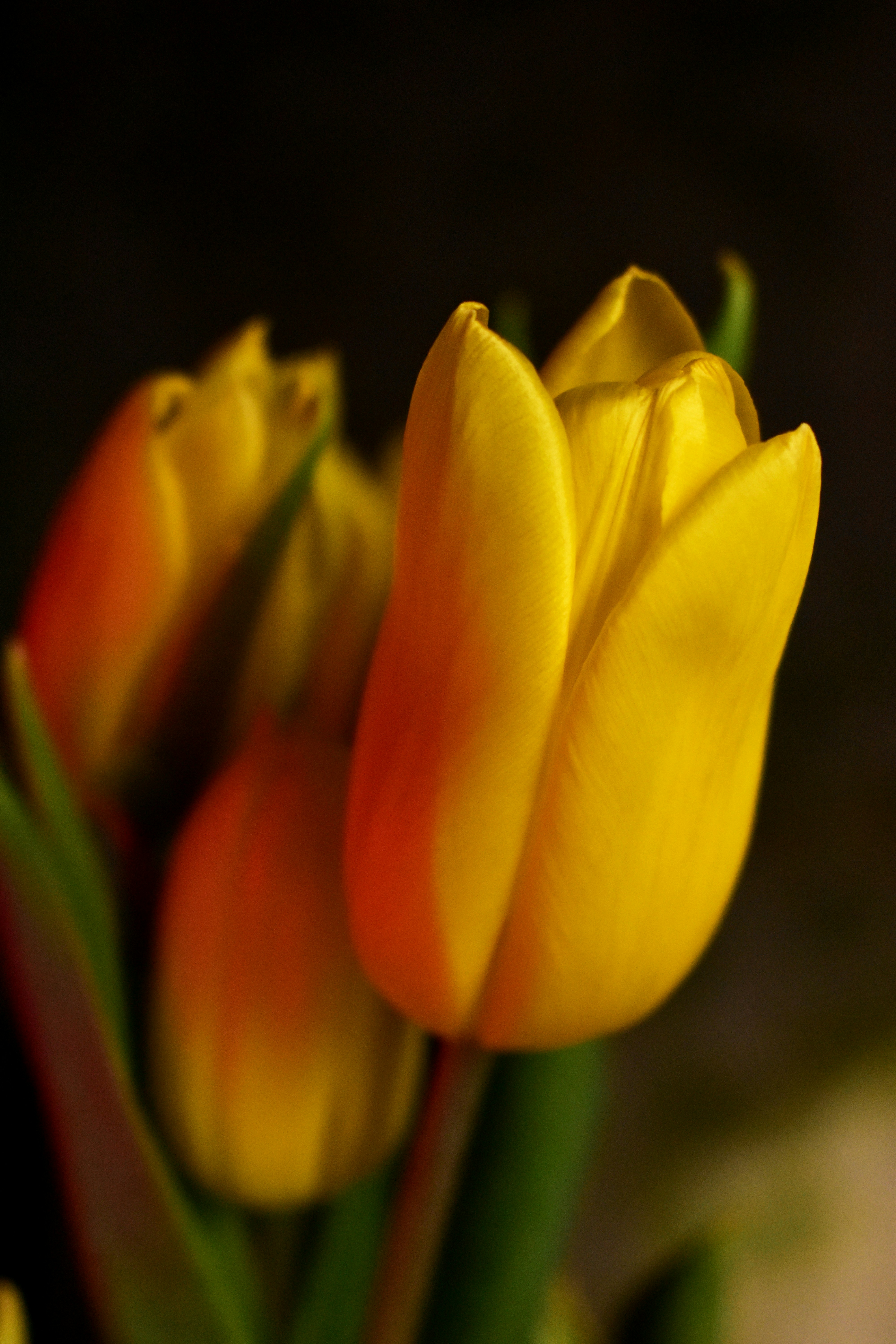 Photo by polina_grishma