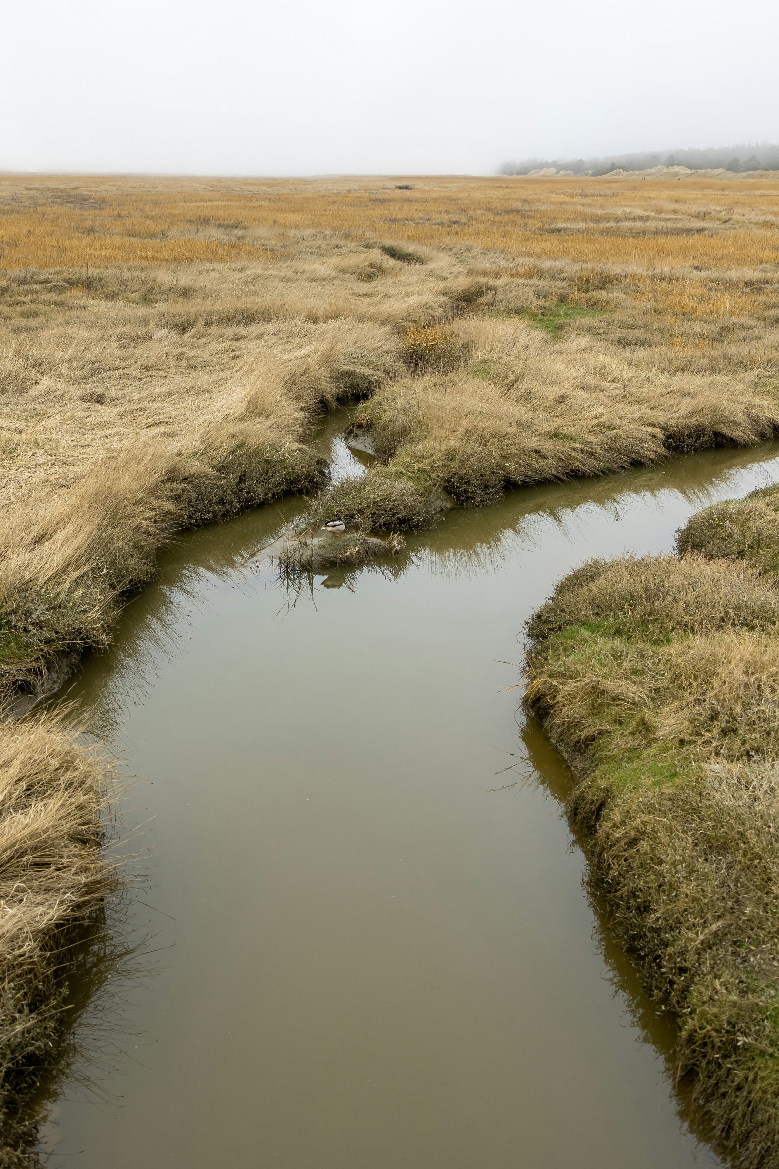 Photo by marvinradke