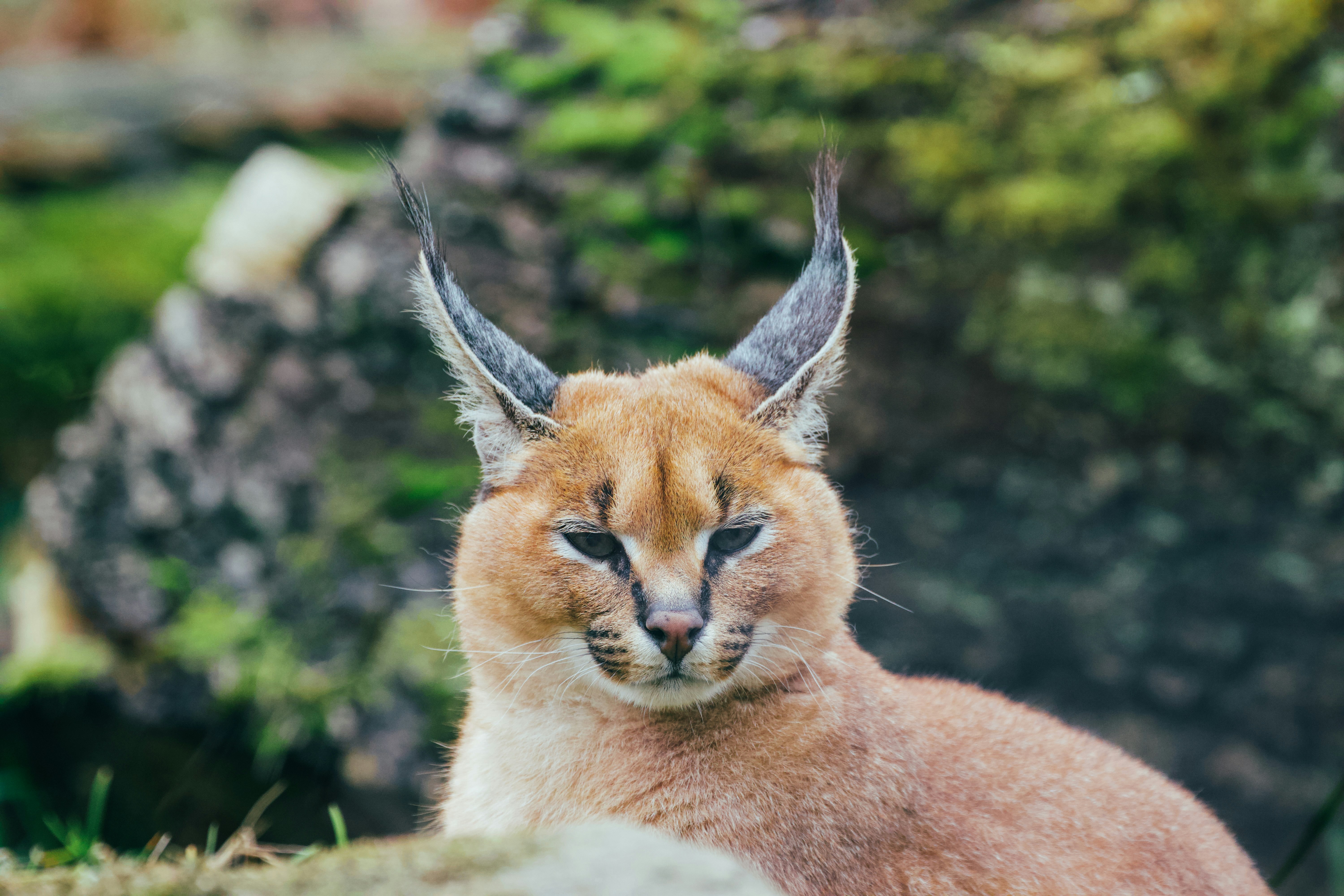 Photo by jakub_neskora