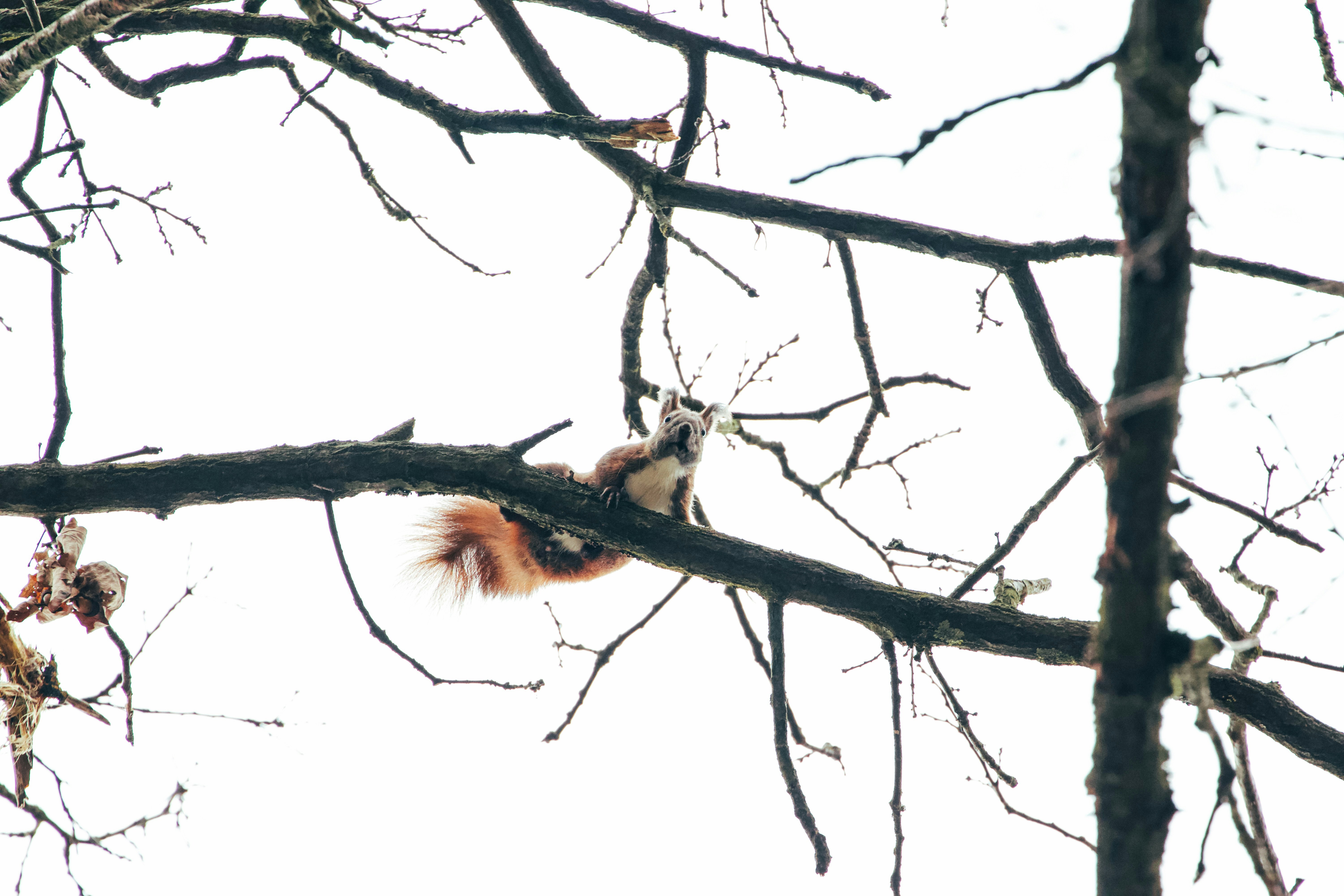 Photo by jakub_neskora