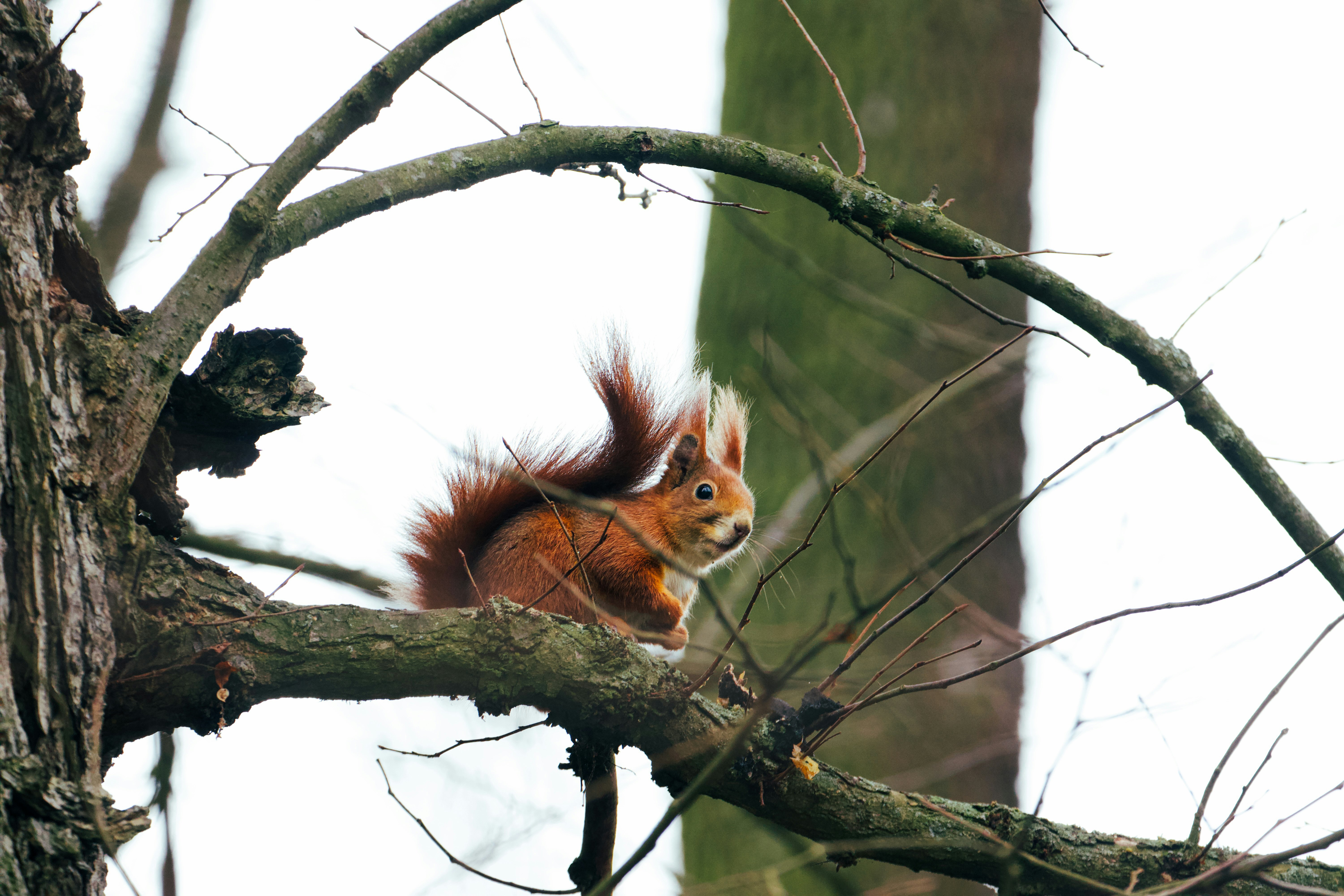 Photo by jakub_neskora