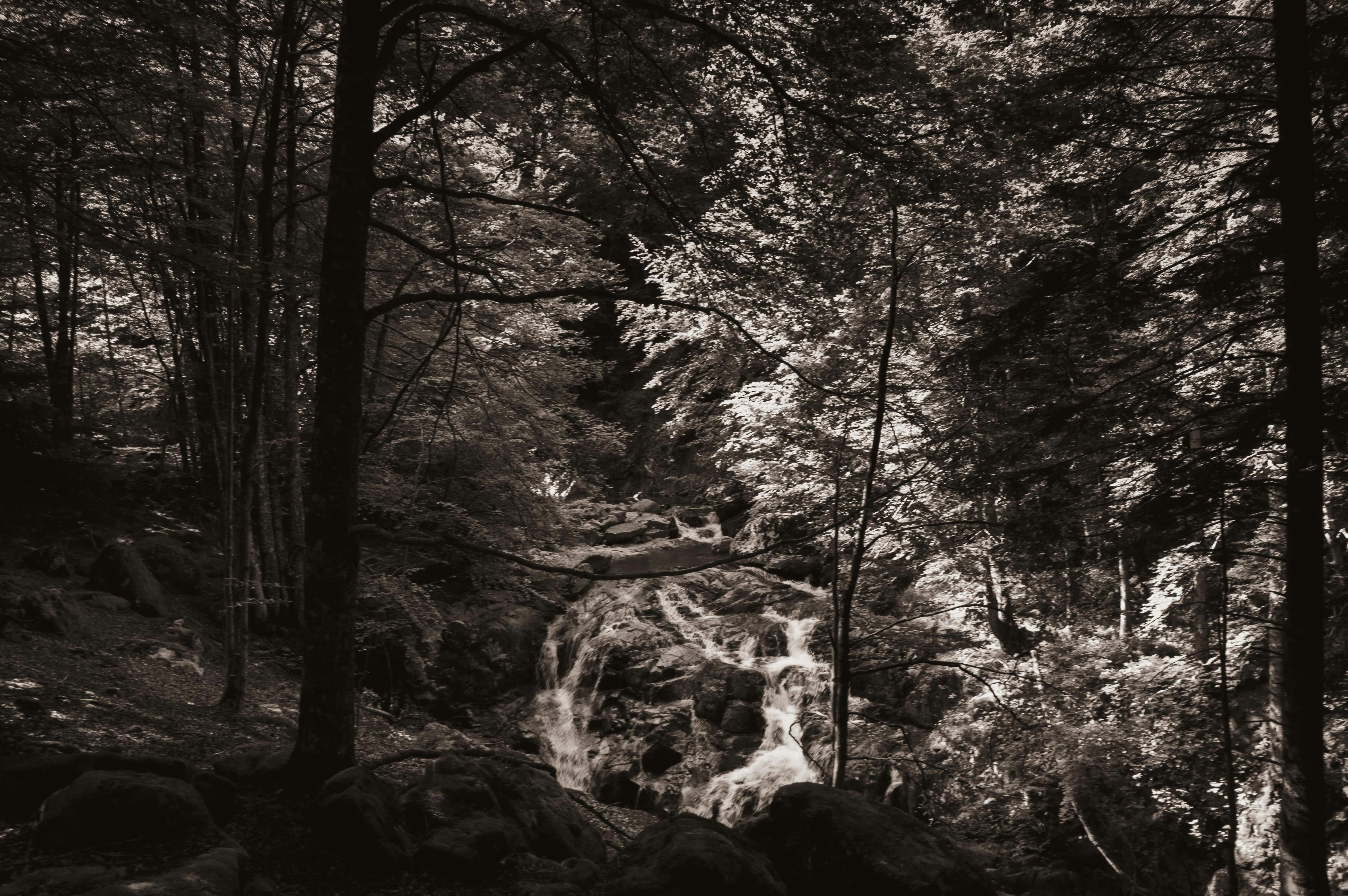 Photo by capturebykat