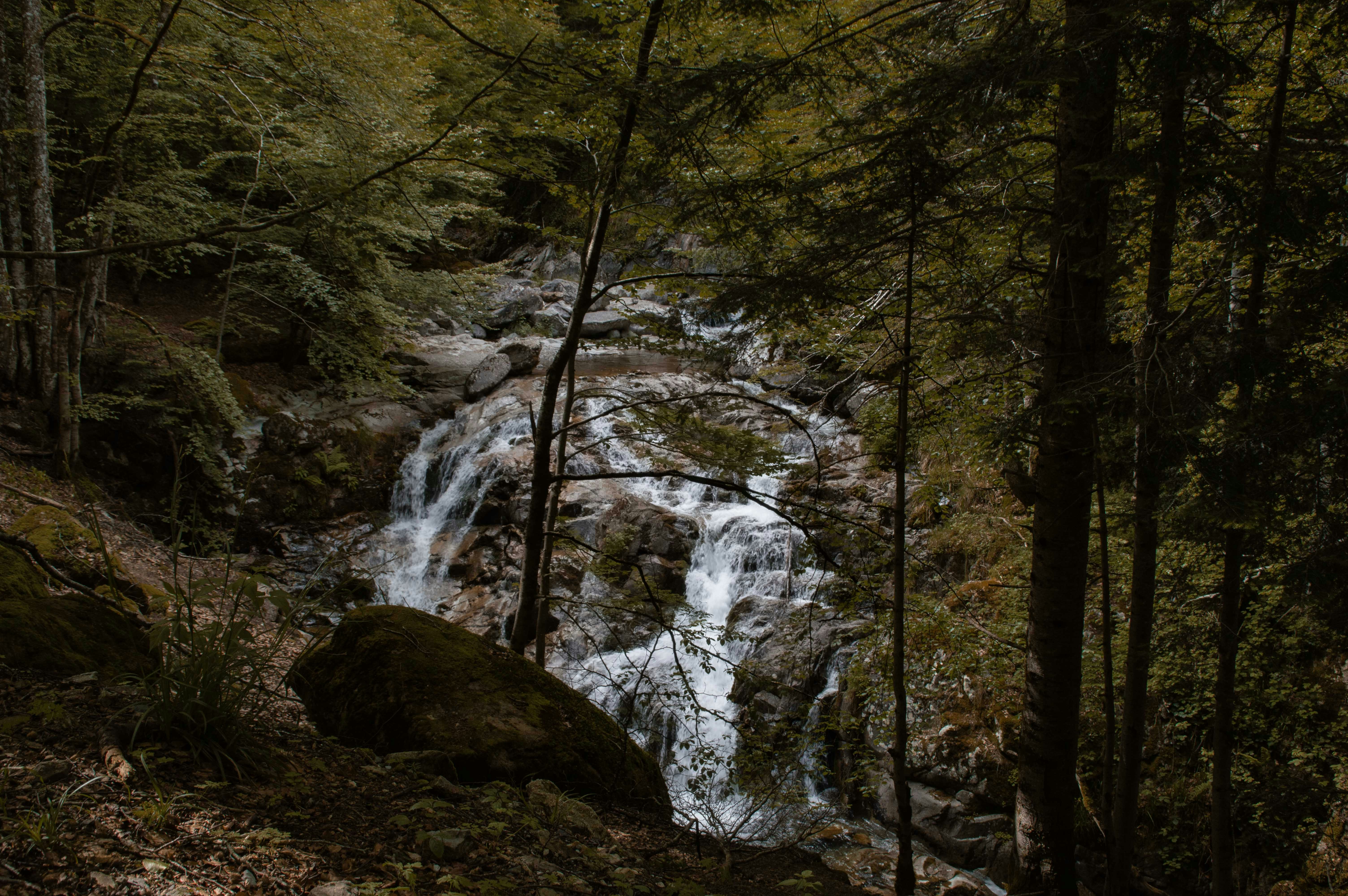 Photo by capturebykat