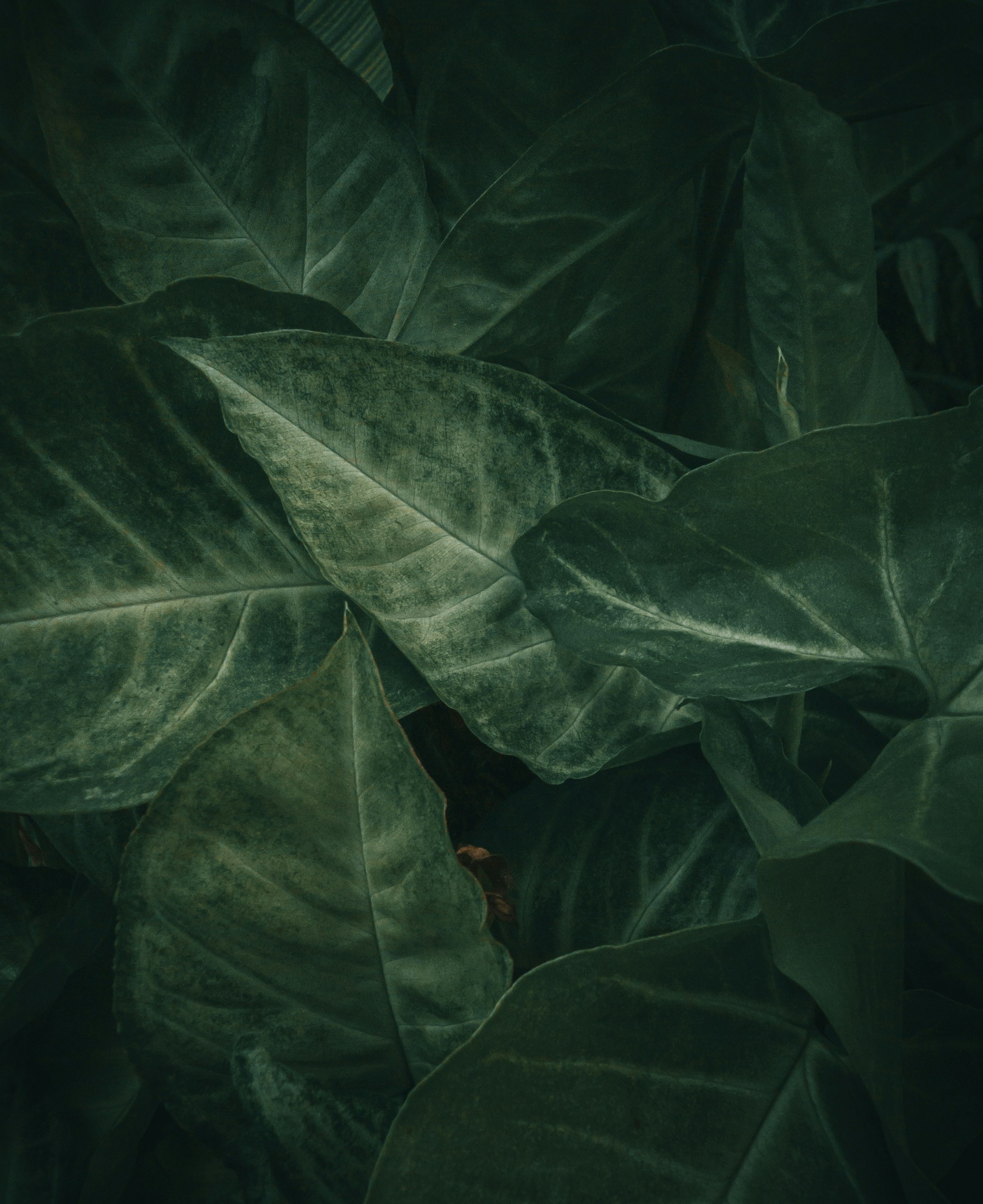 Photo by harsh_singh07