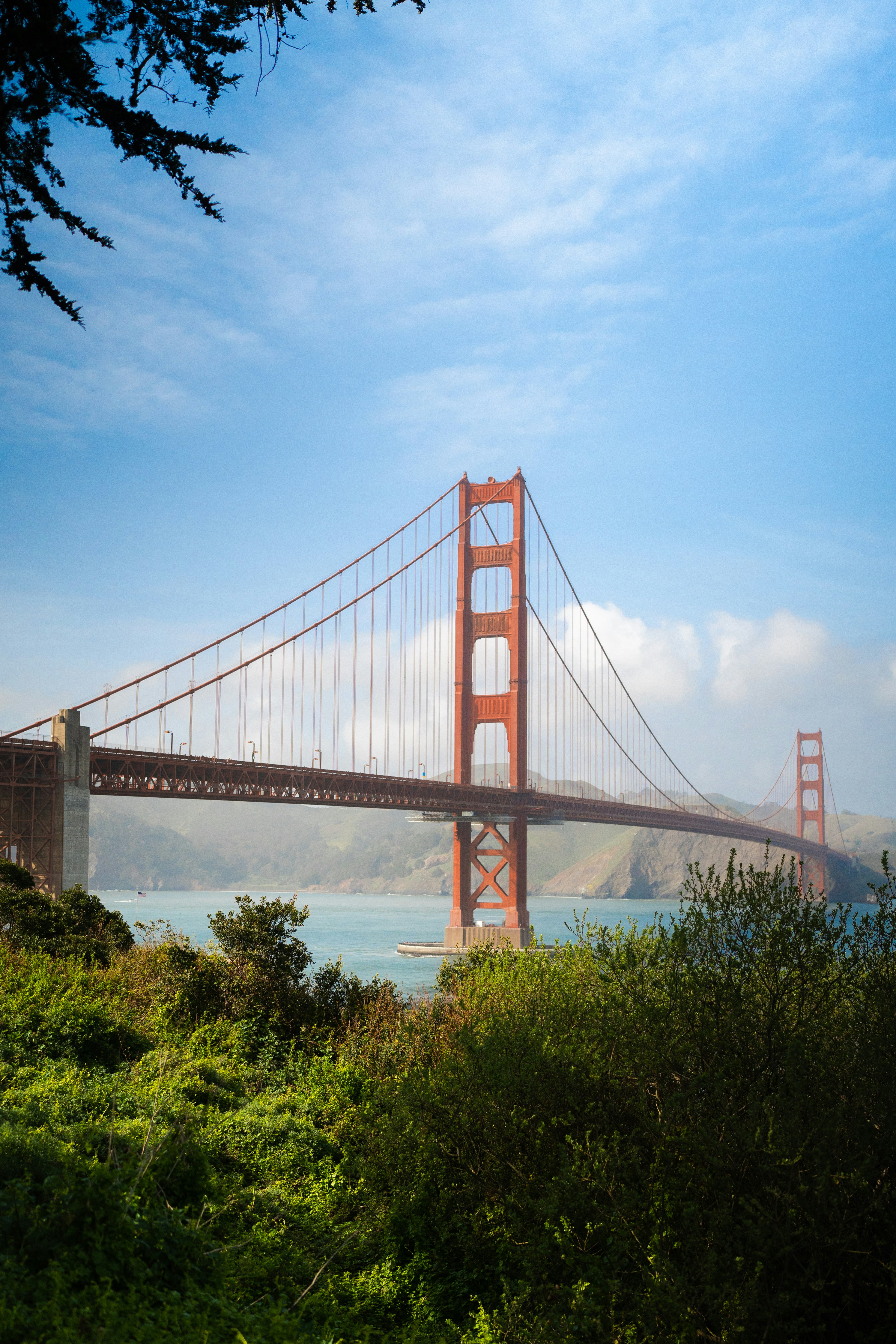 Photo by mbcarterphotography