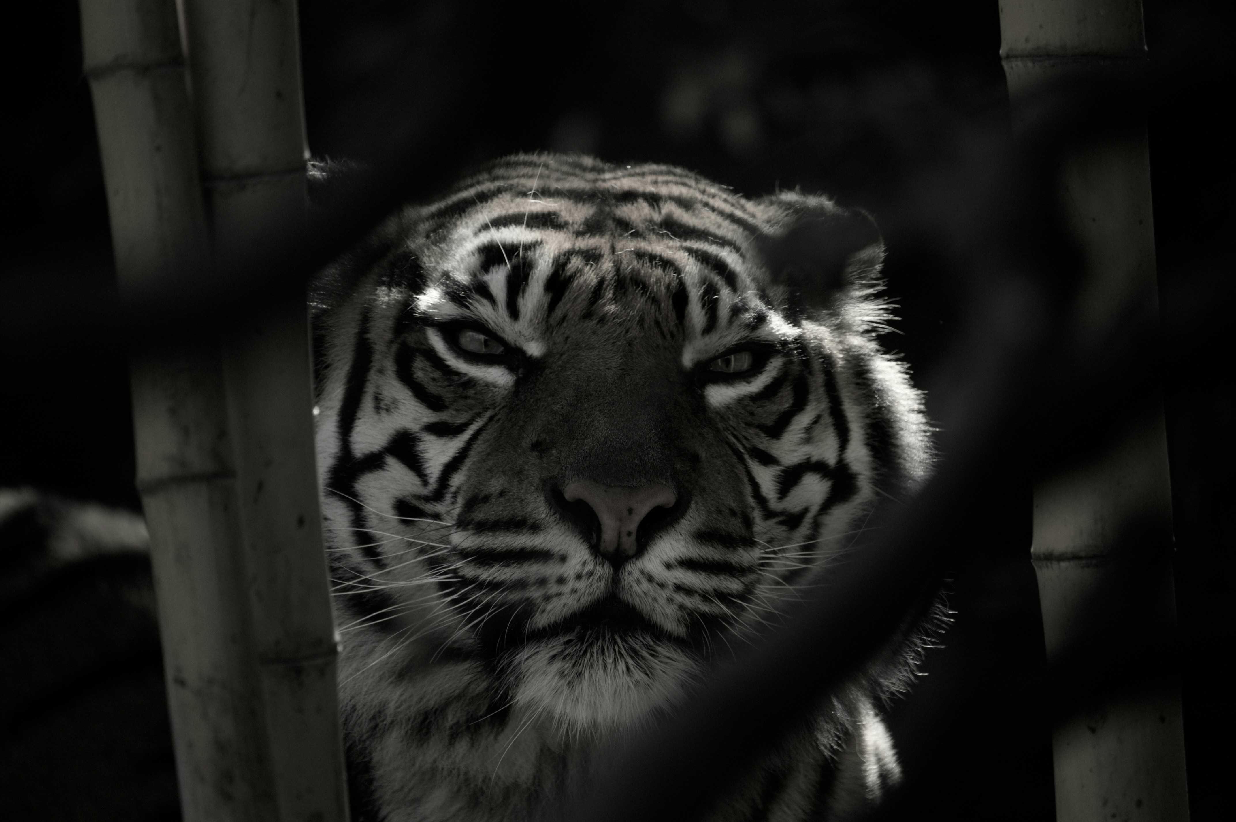 photo-1742151252153-1978b7bf5dd5?ixid=M3wxMjA3fDB8MXxzZWFyY2h8OHx8JUUwJUI5JTgwJUUwJUI4JUE3JUUwJUI5JTg3JUUwJUI4JTlBJTIwJUUwJUI5JTgwJUUwJUI4JUFBJUUwJUI4JUI3JUUwJUI4JUFEfGVufDB8fHx8MTc1NTM2ODcxNHww\u0026ixlib=rb-4.1.0