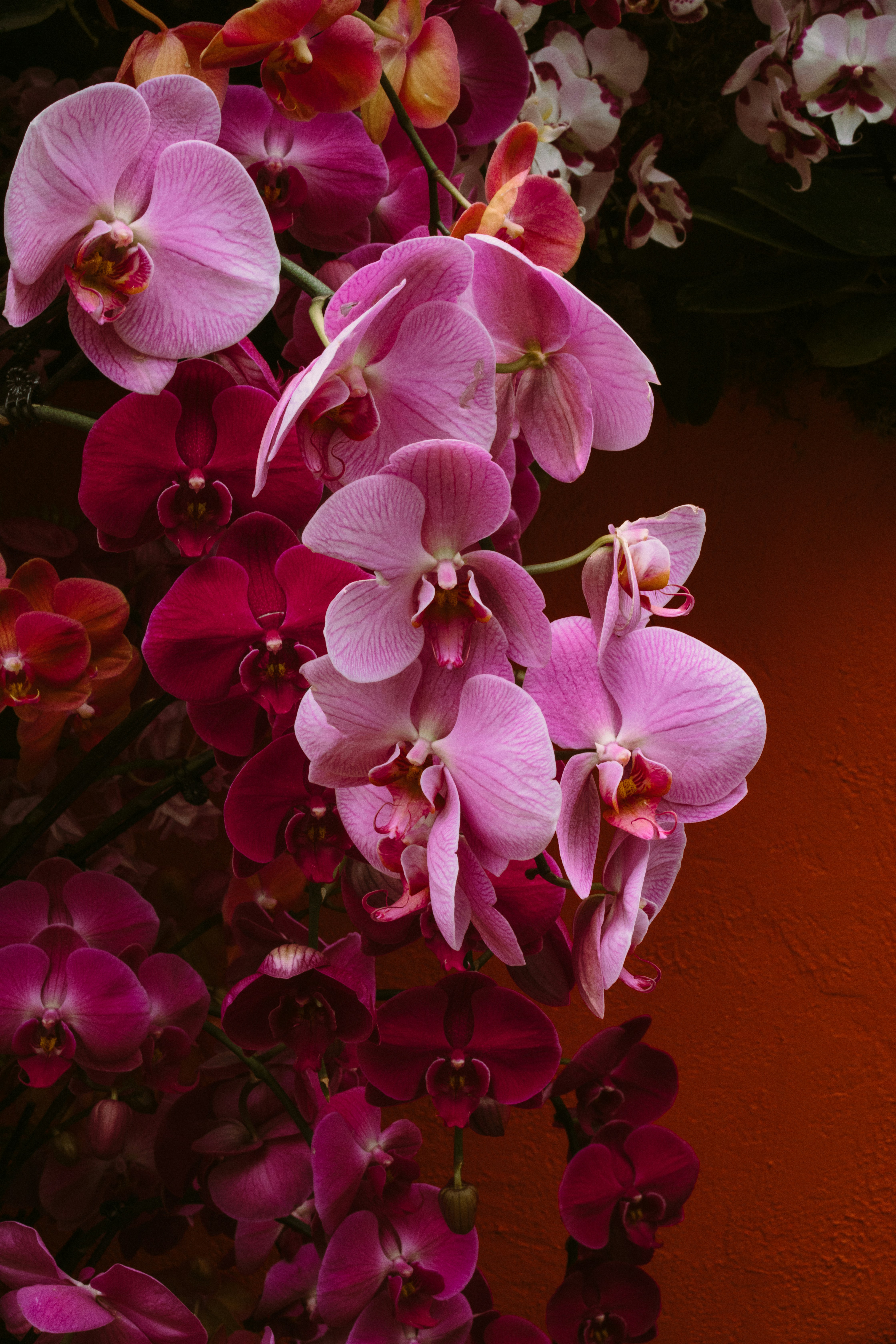 Photo by xicanayork93