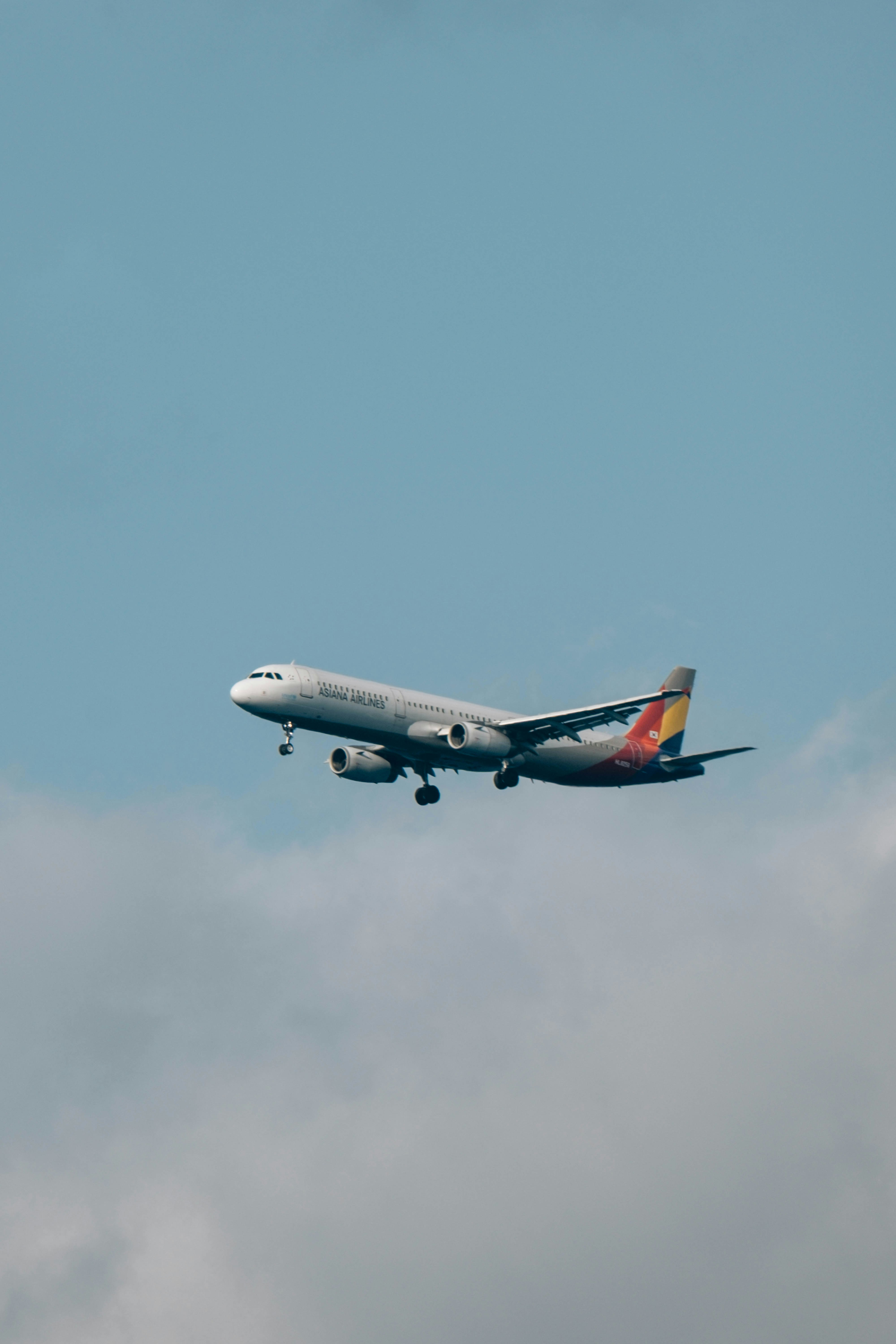 Photo by insungpandora