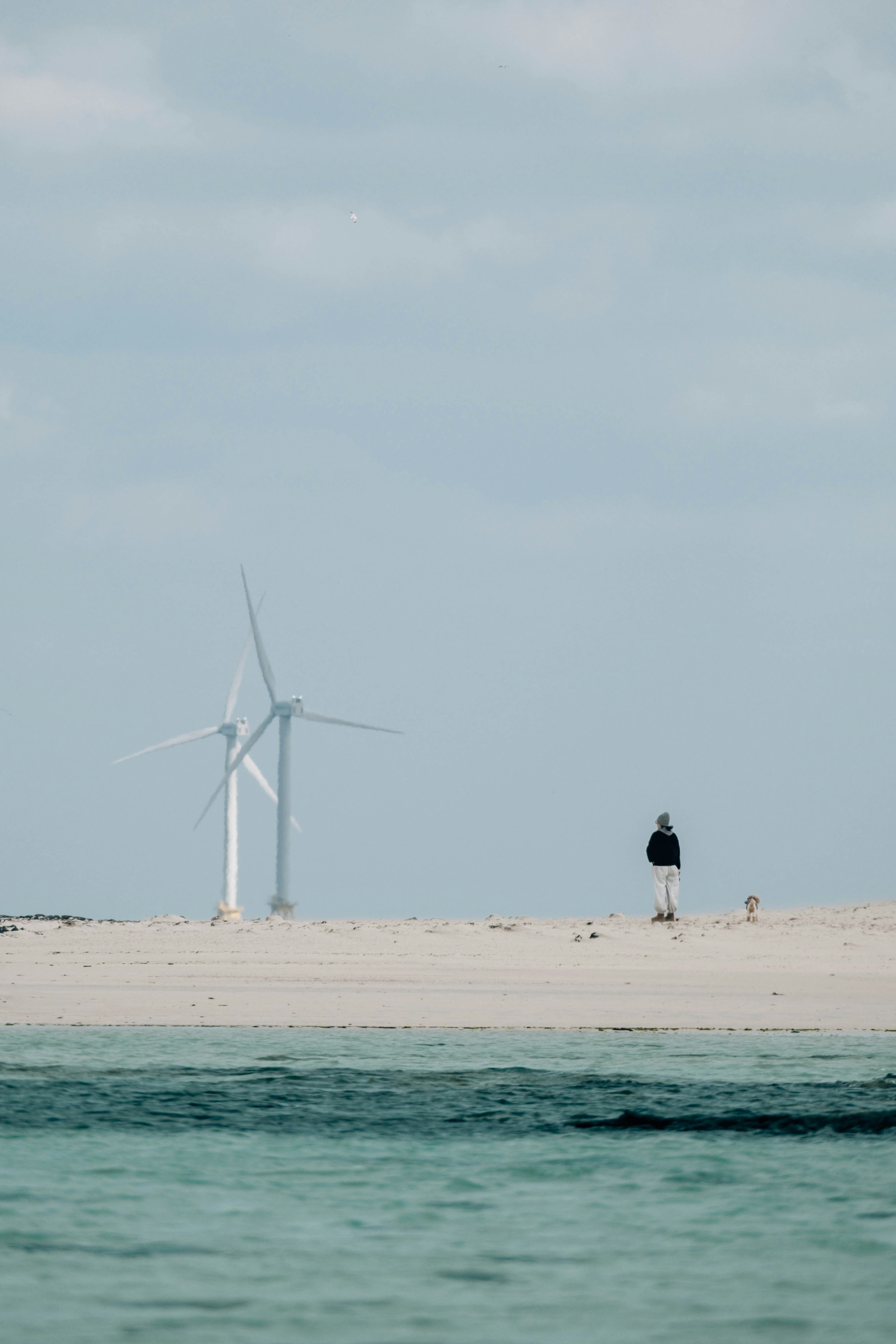 Photo by insungpandora