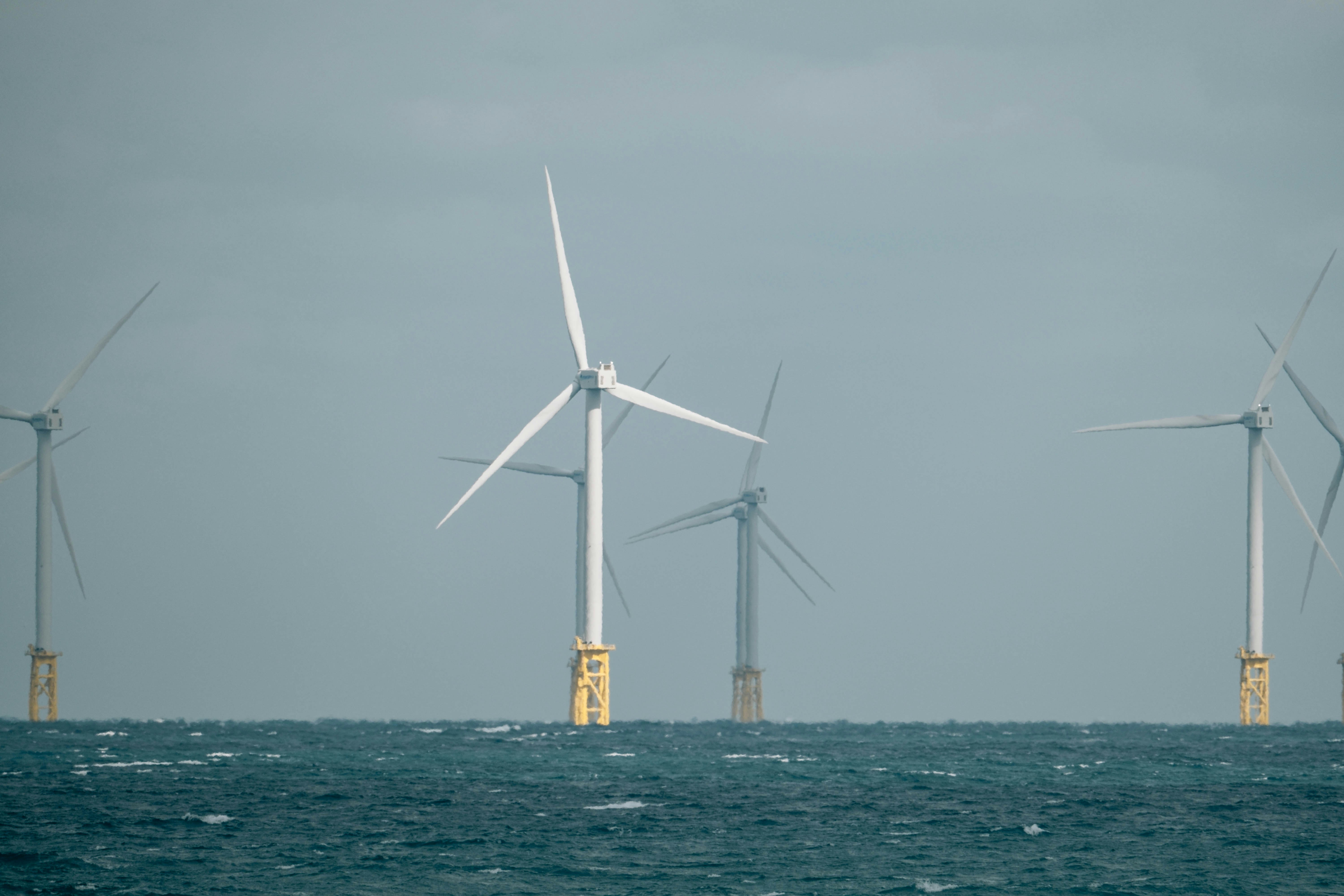 Photo by insungpandora