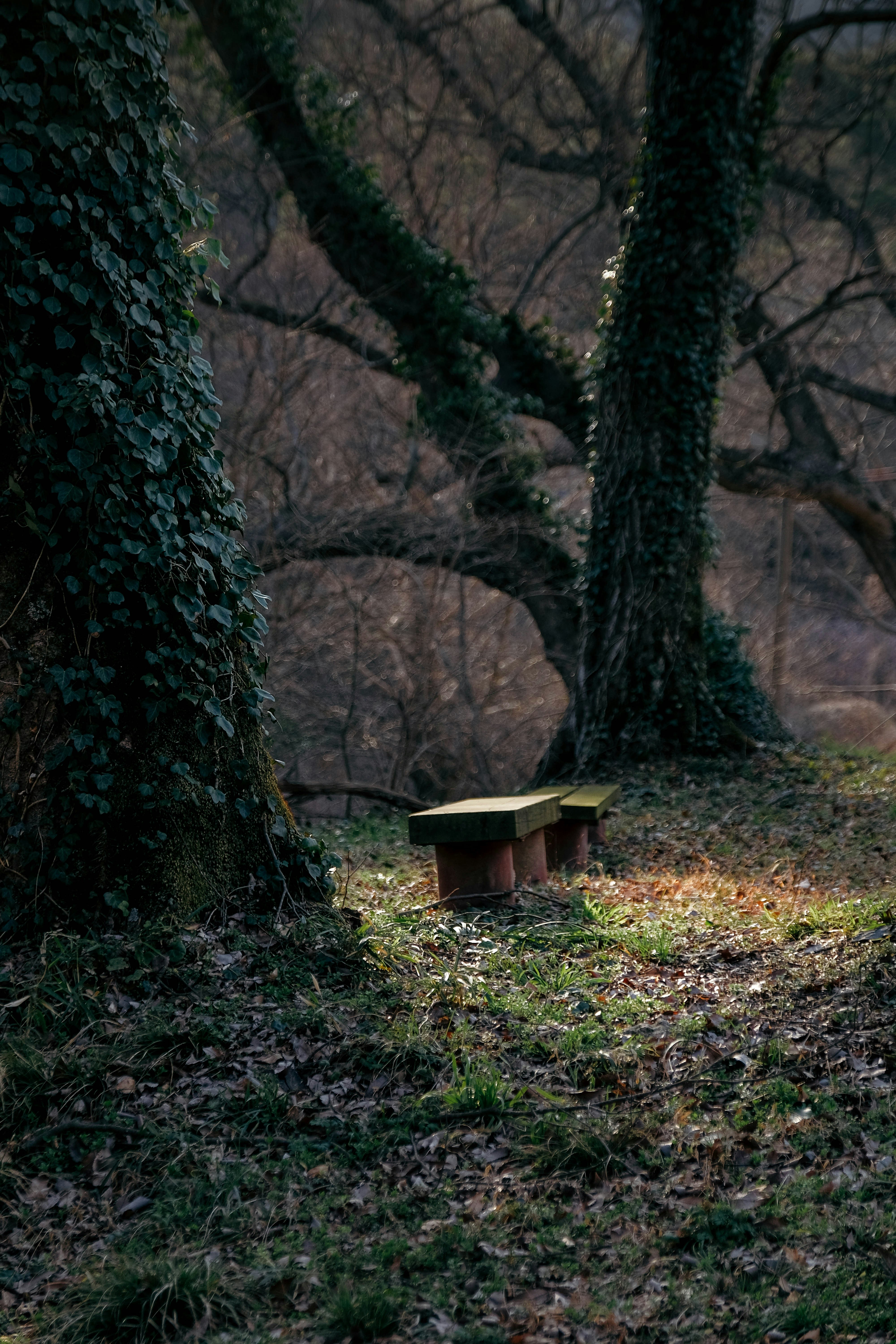 Photo by insungpandora