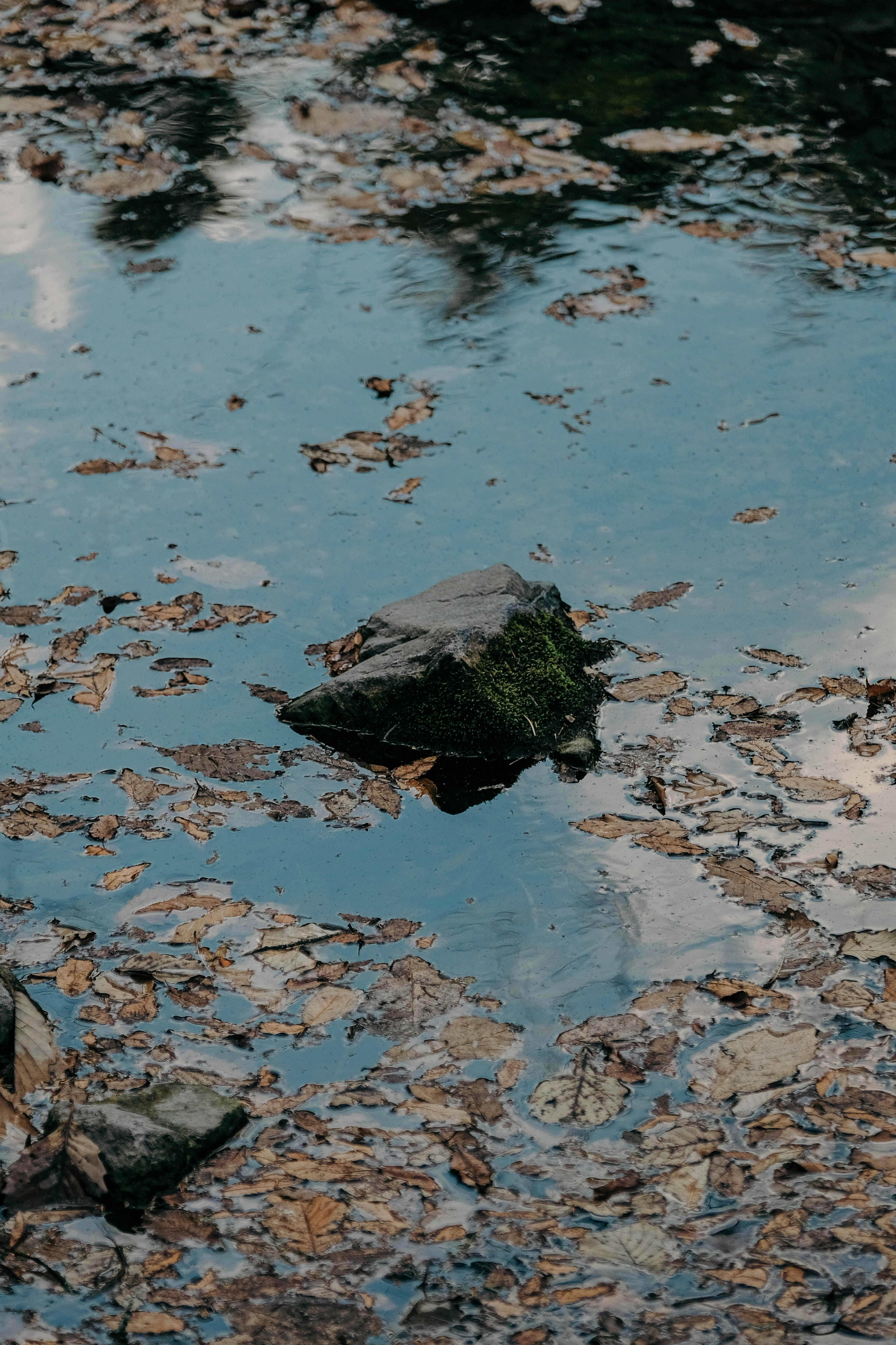 Photo by insungpandora