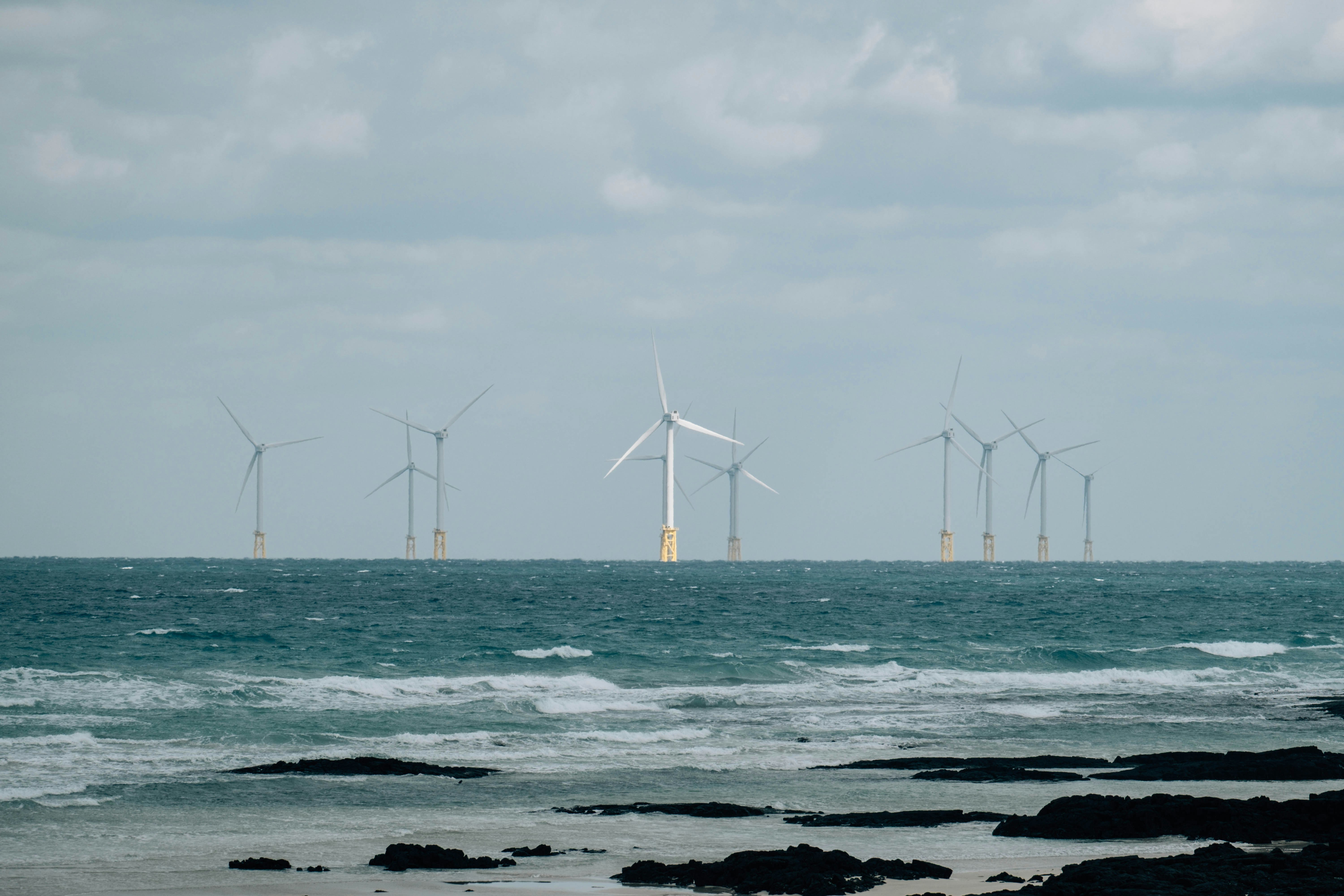 Photo by insungpandora