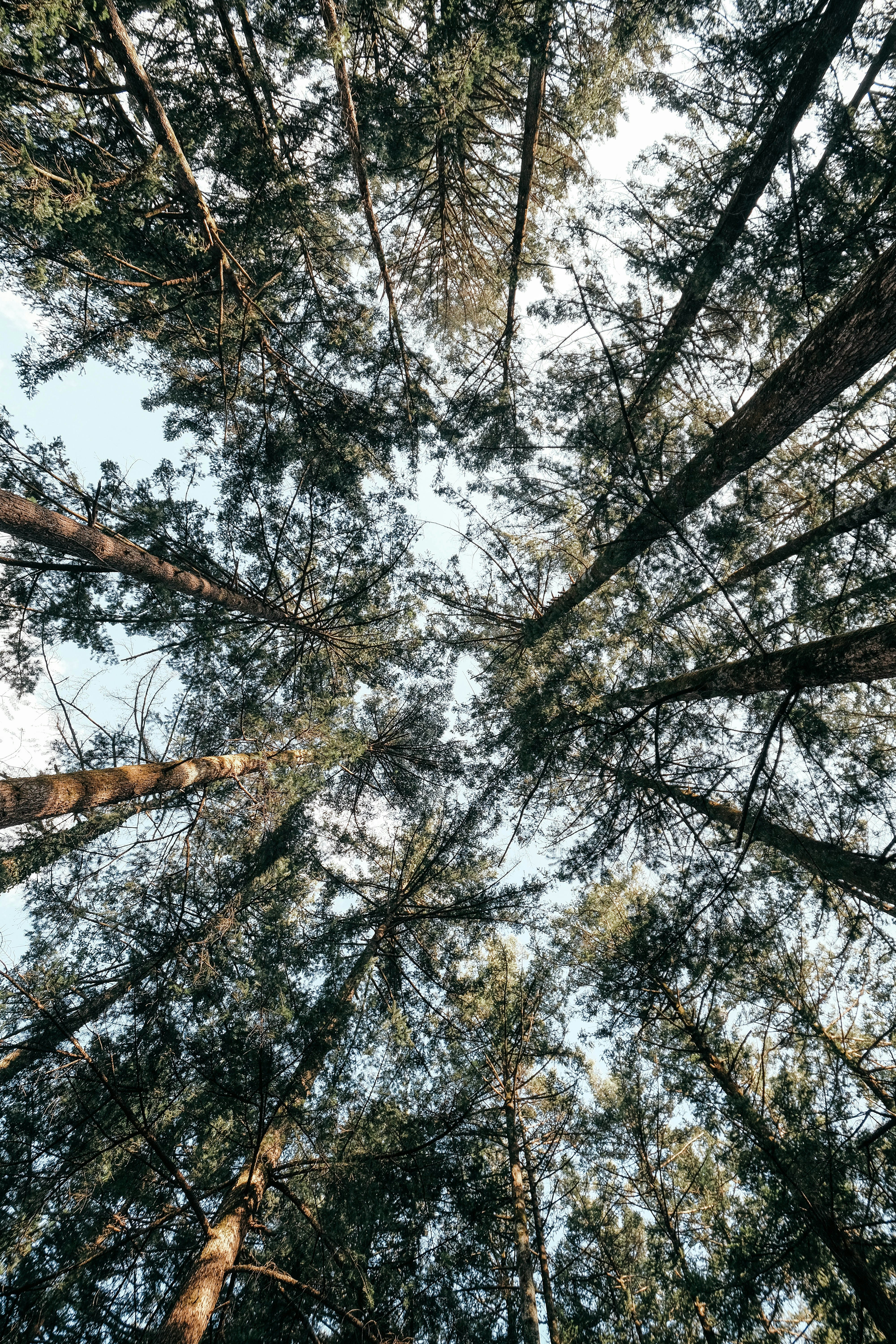 Photo by insungpandora