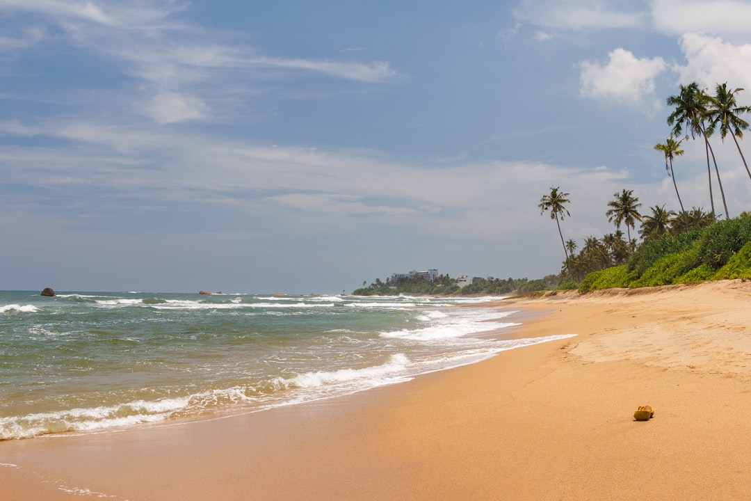 Beautiful beach scene with palm trees and waves.,