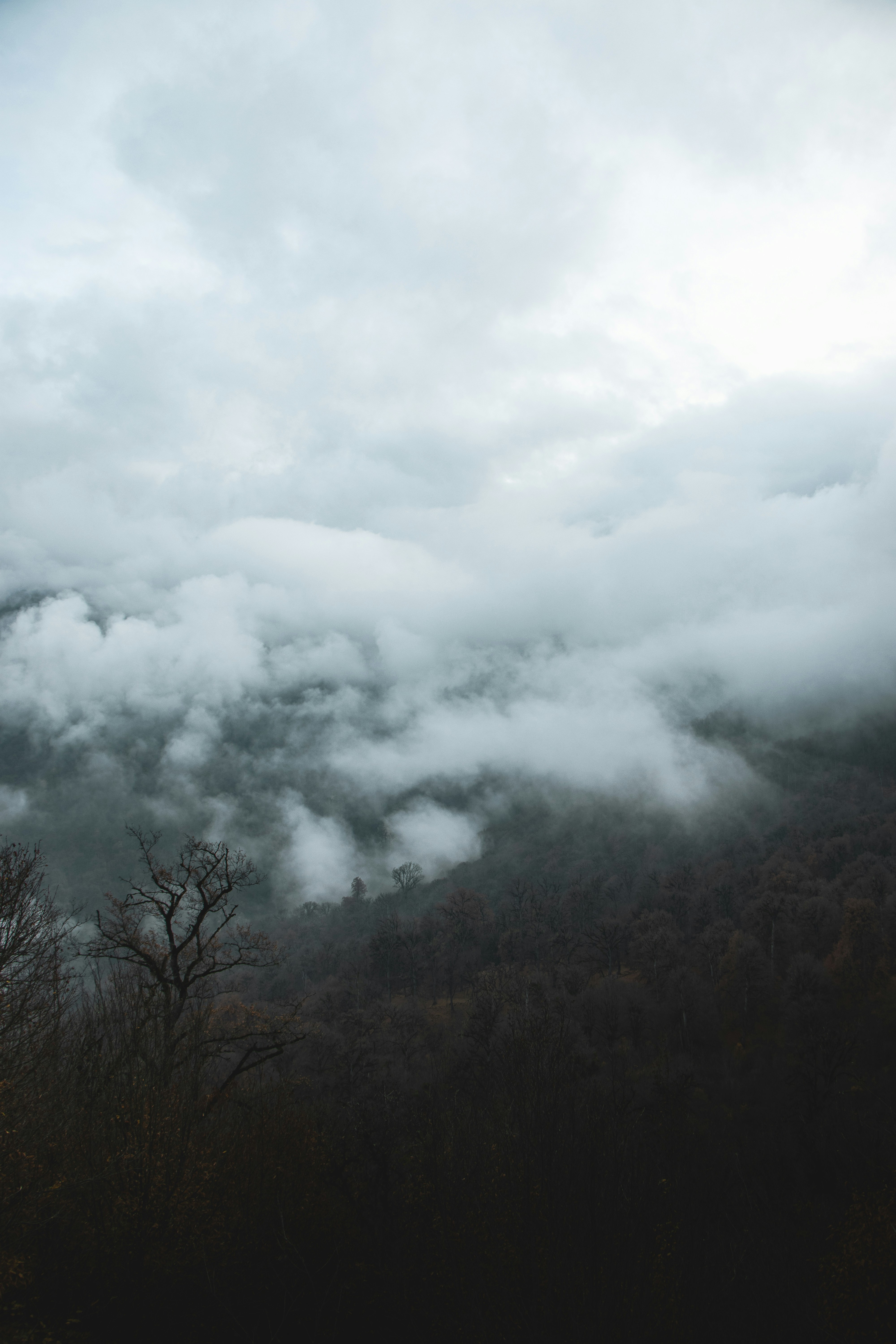 Photo by mahdibafande