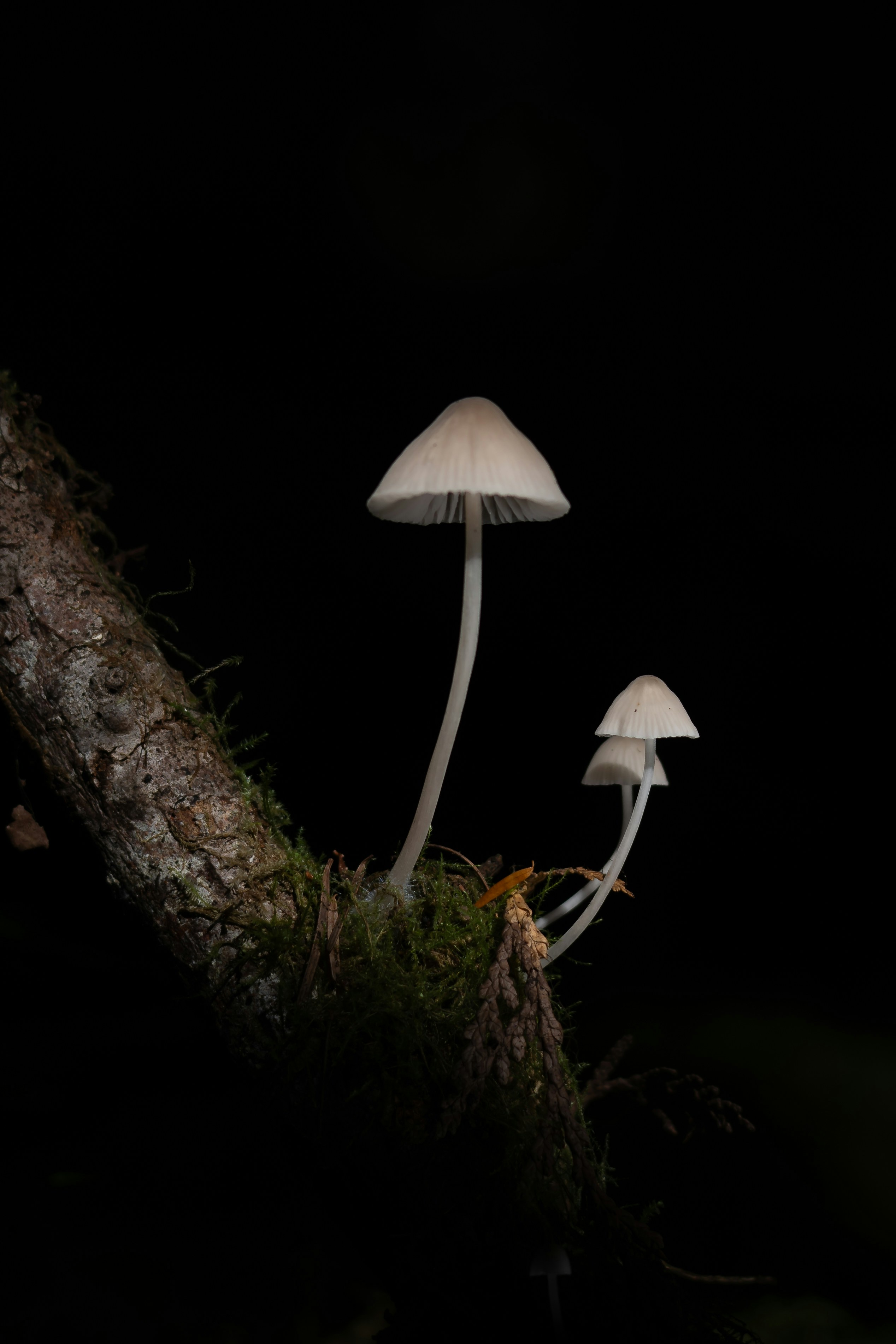 Photo by mattrichmo