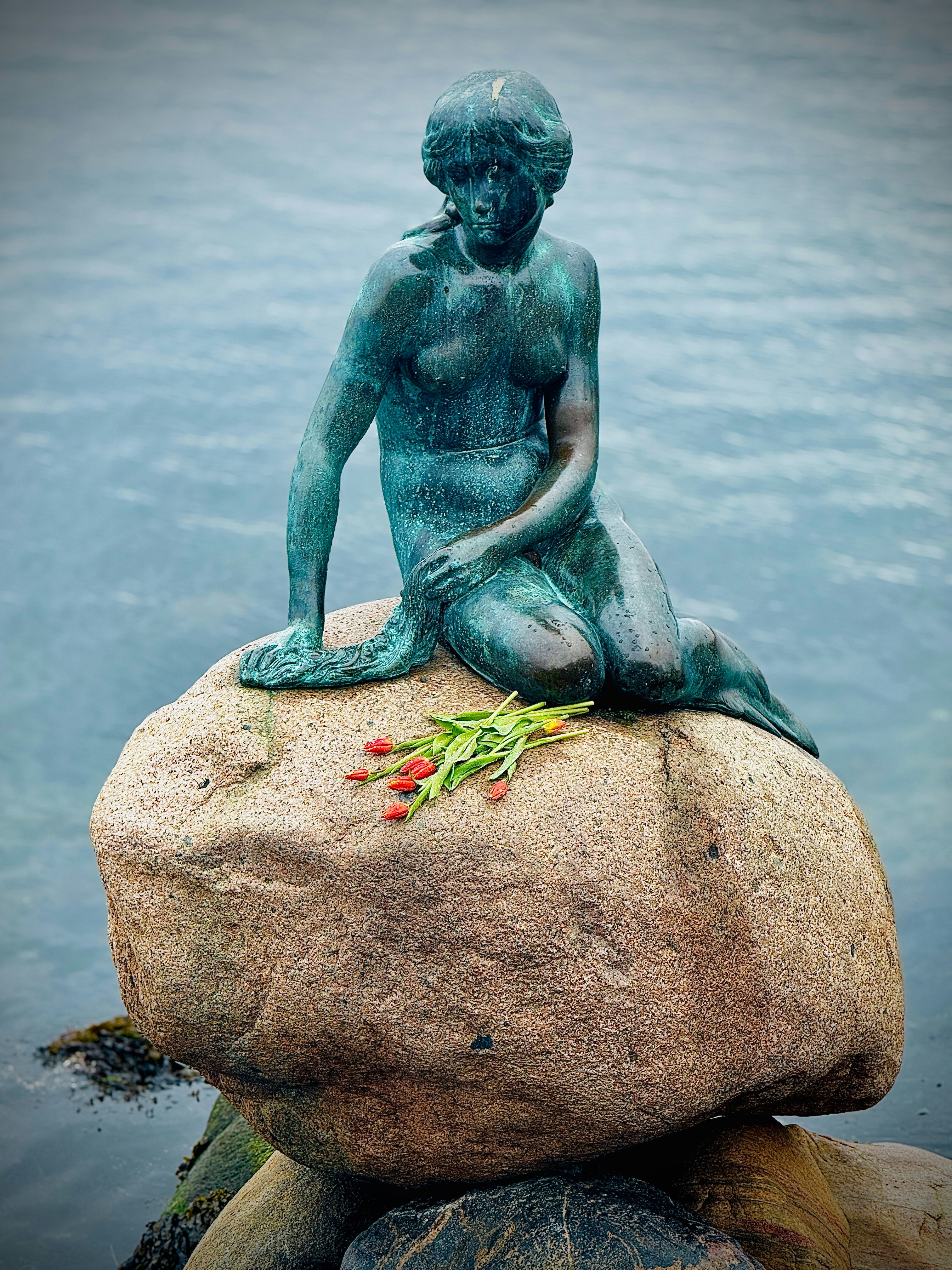 The little mermaid statue sits in the water.