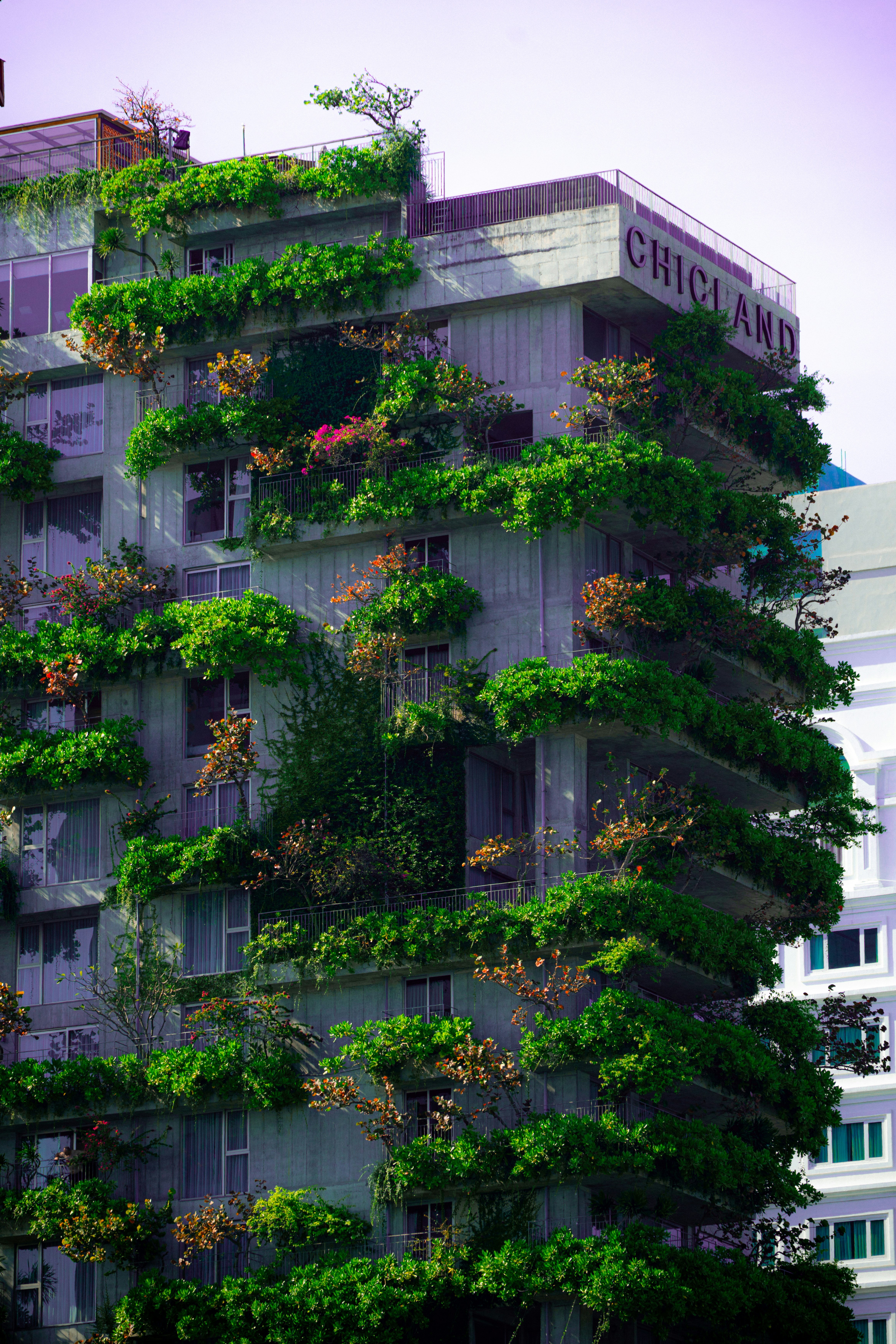 Photo by samtakespictures