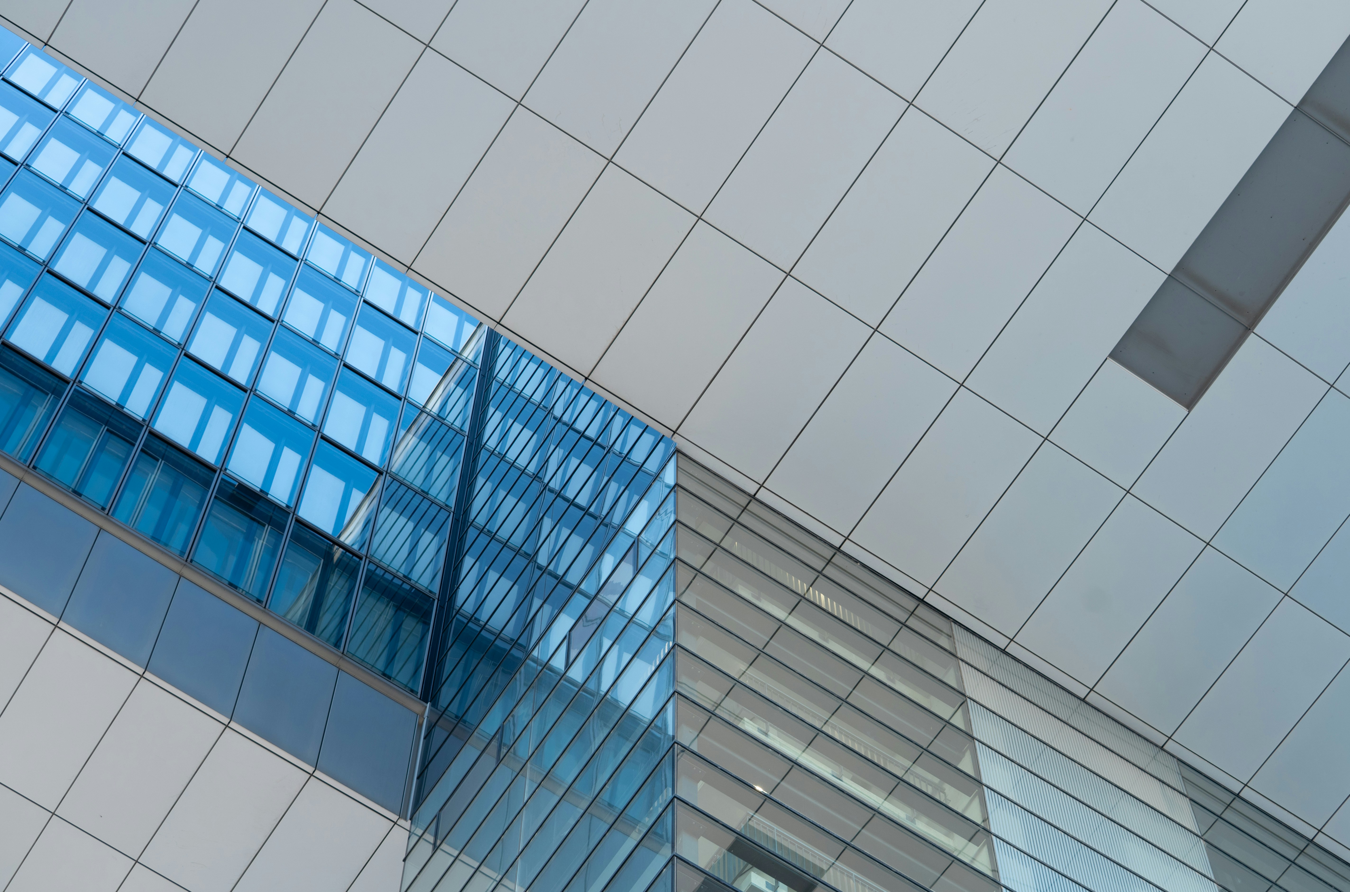 Photo by soroushzargar