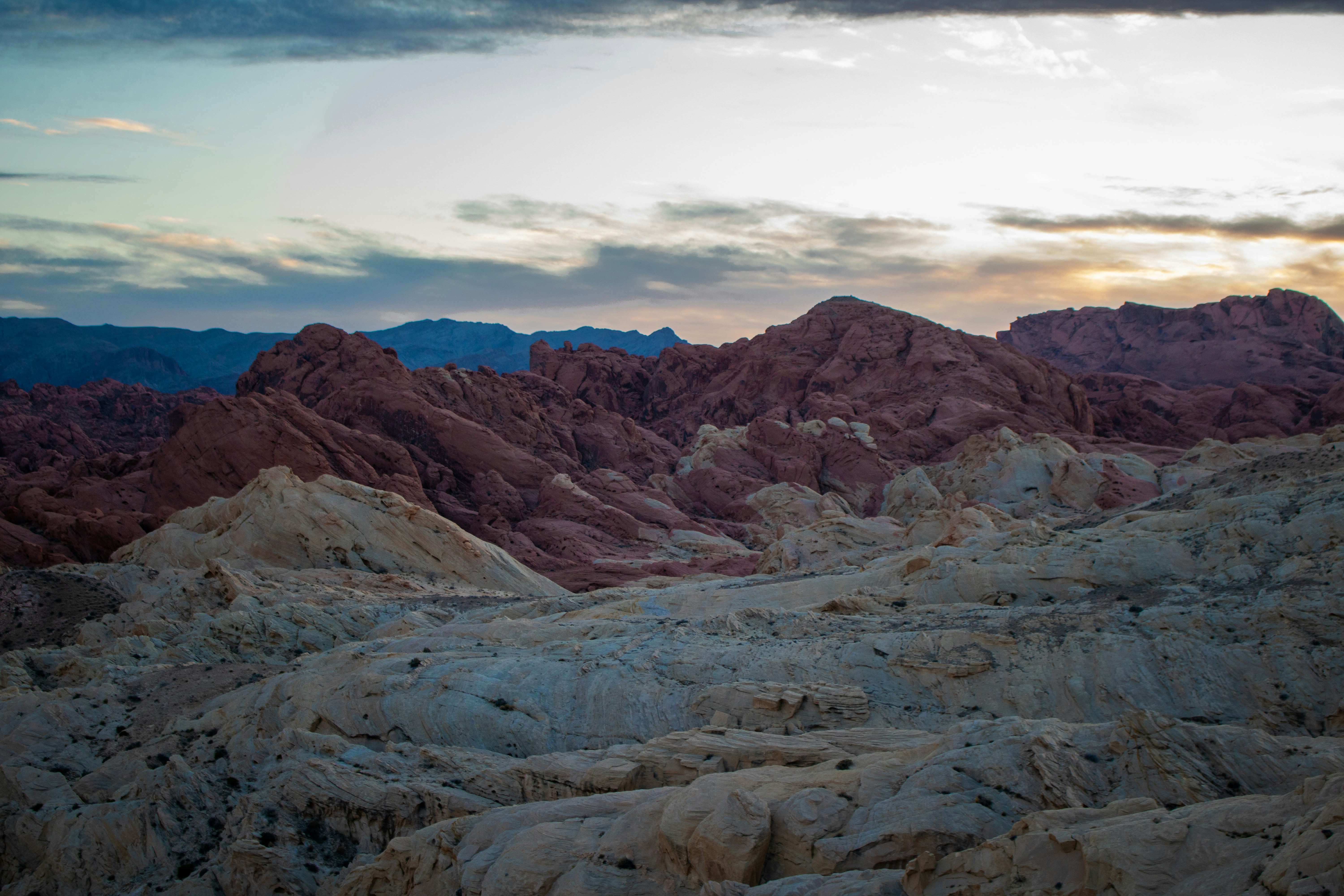 Photo by zoshuacolah