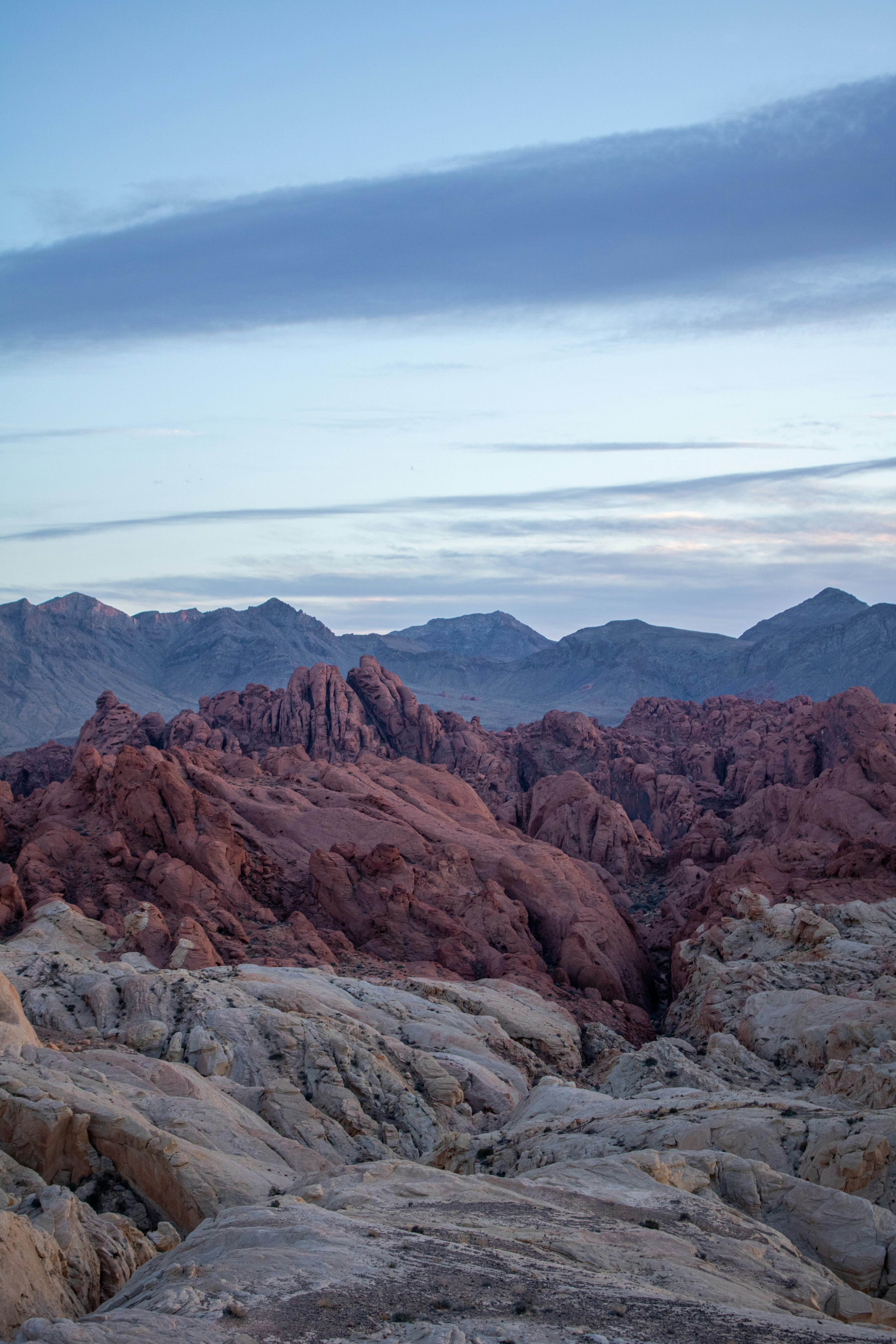 Photo by zoshuacolah