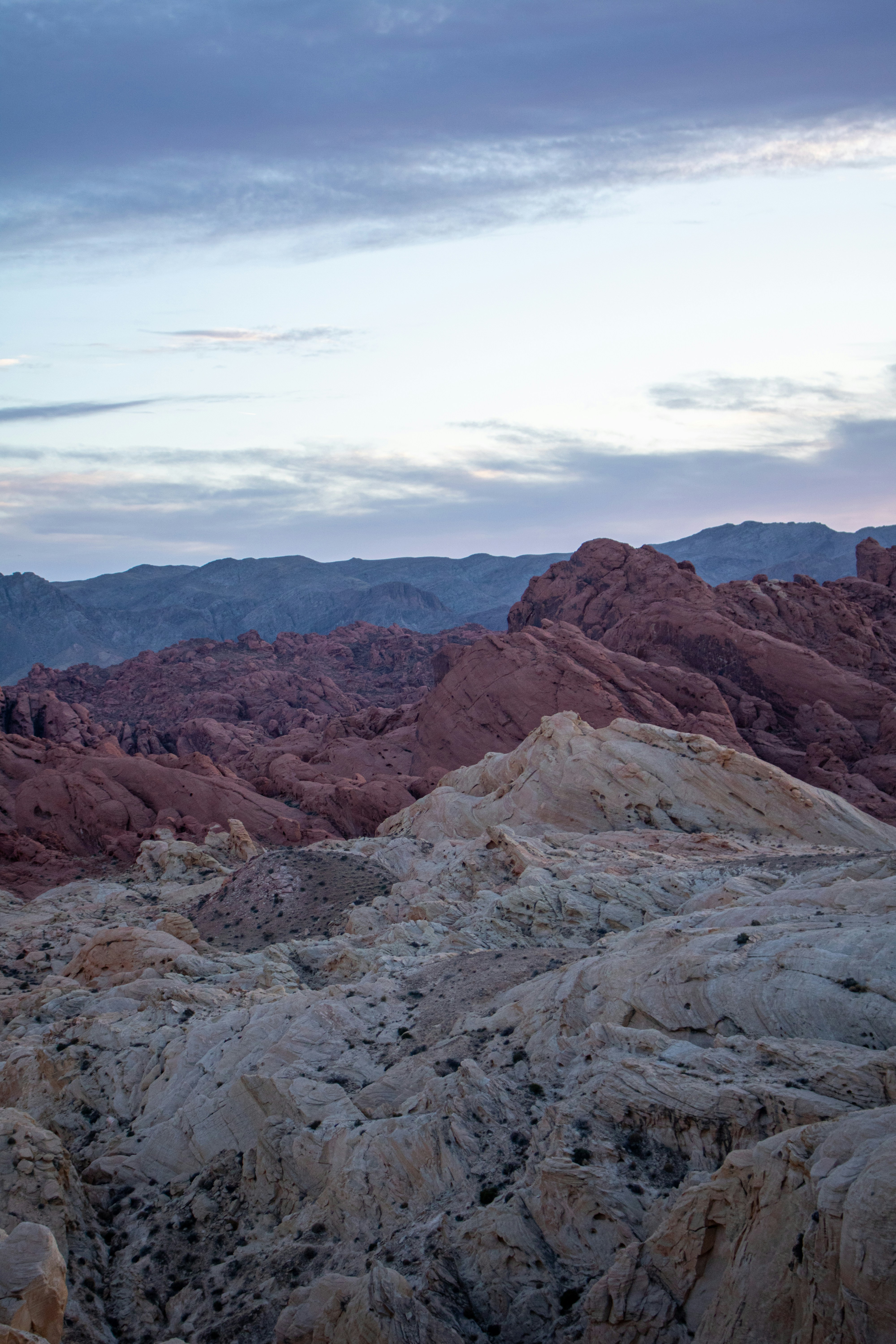 Photo by zoshuacolah