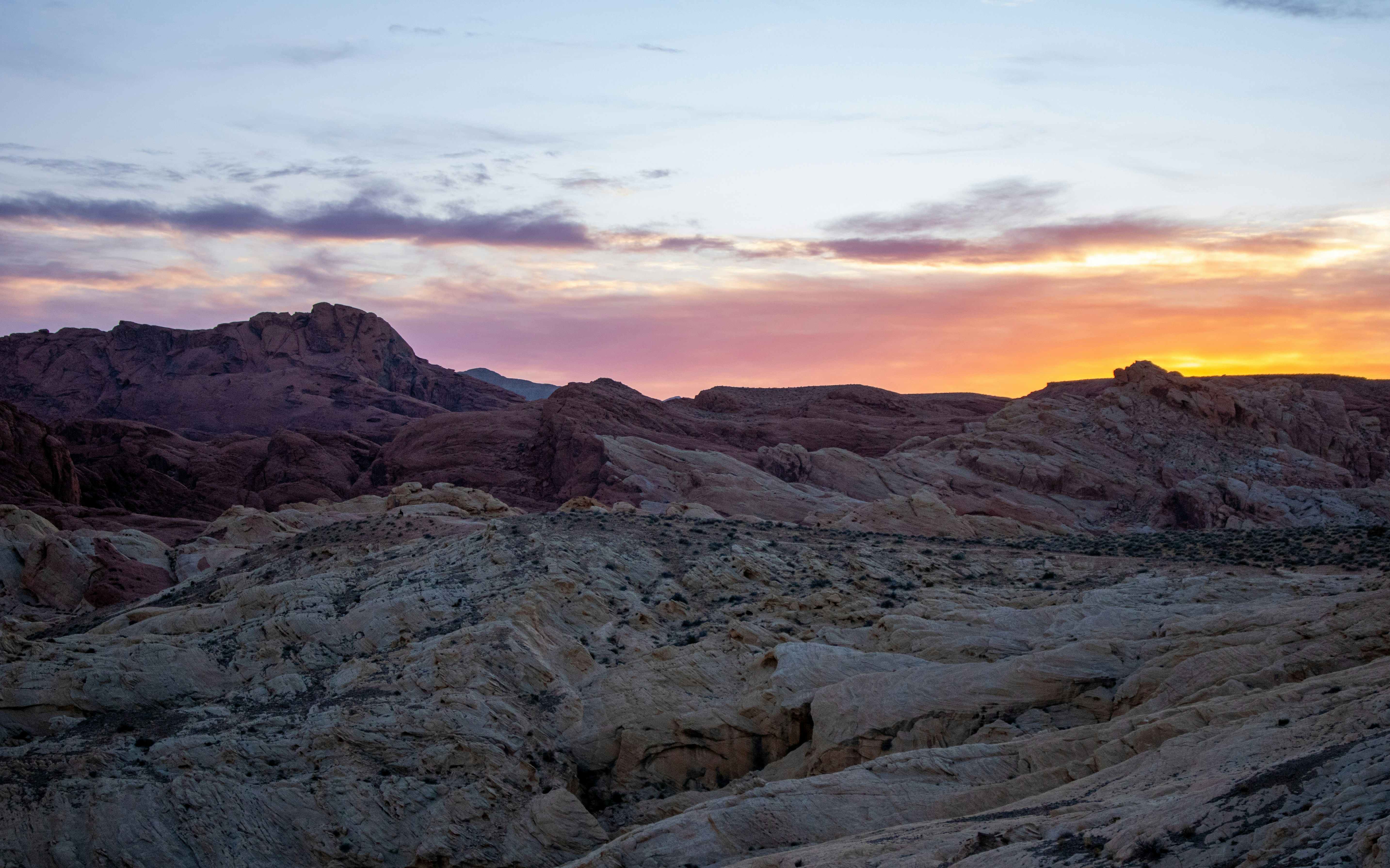 Photo by zoshuacolah