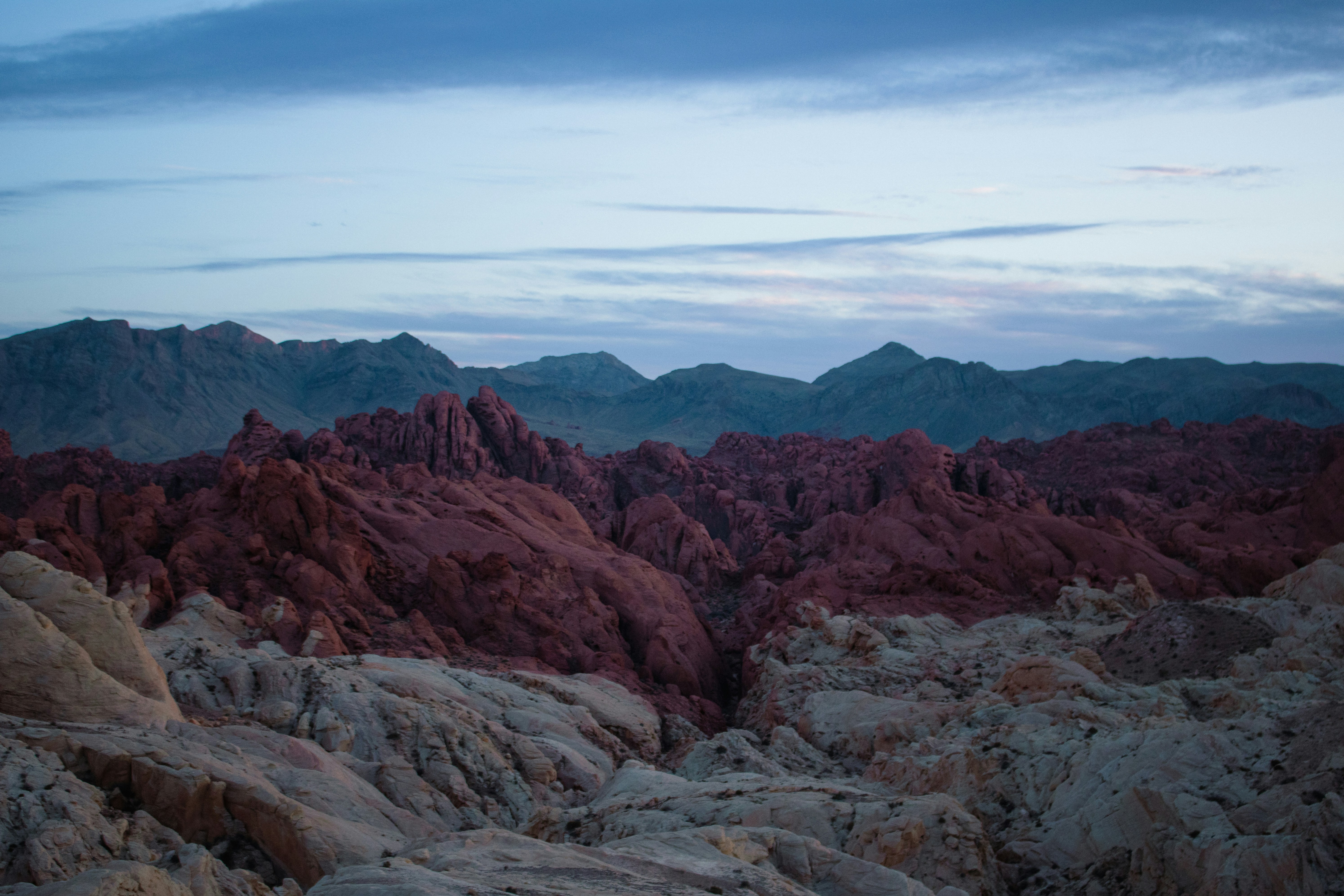 Photo by zoshuacolah