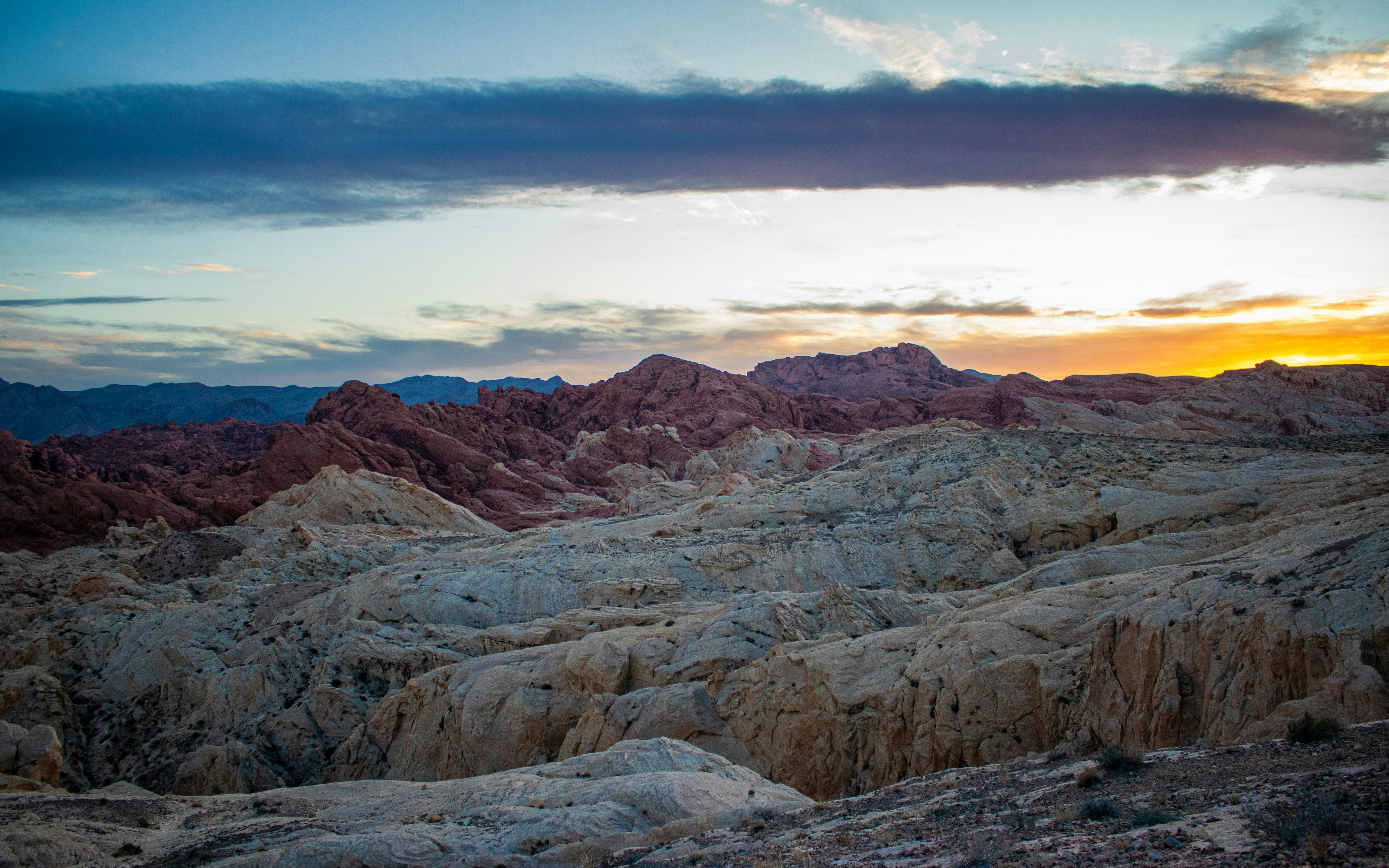 Photo by zoshuacolah