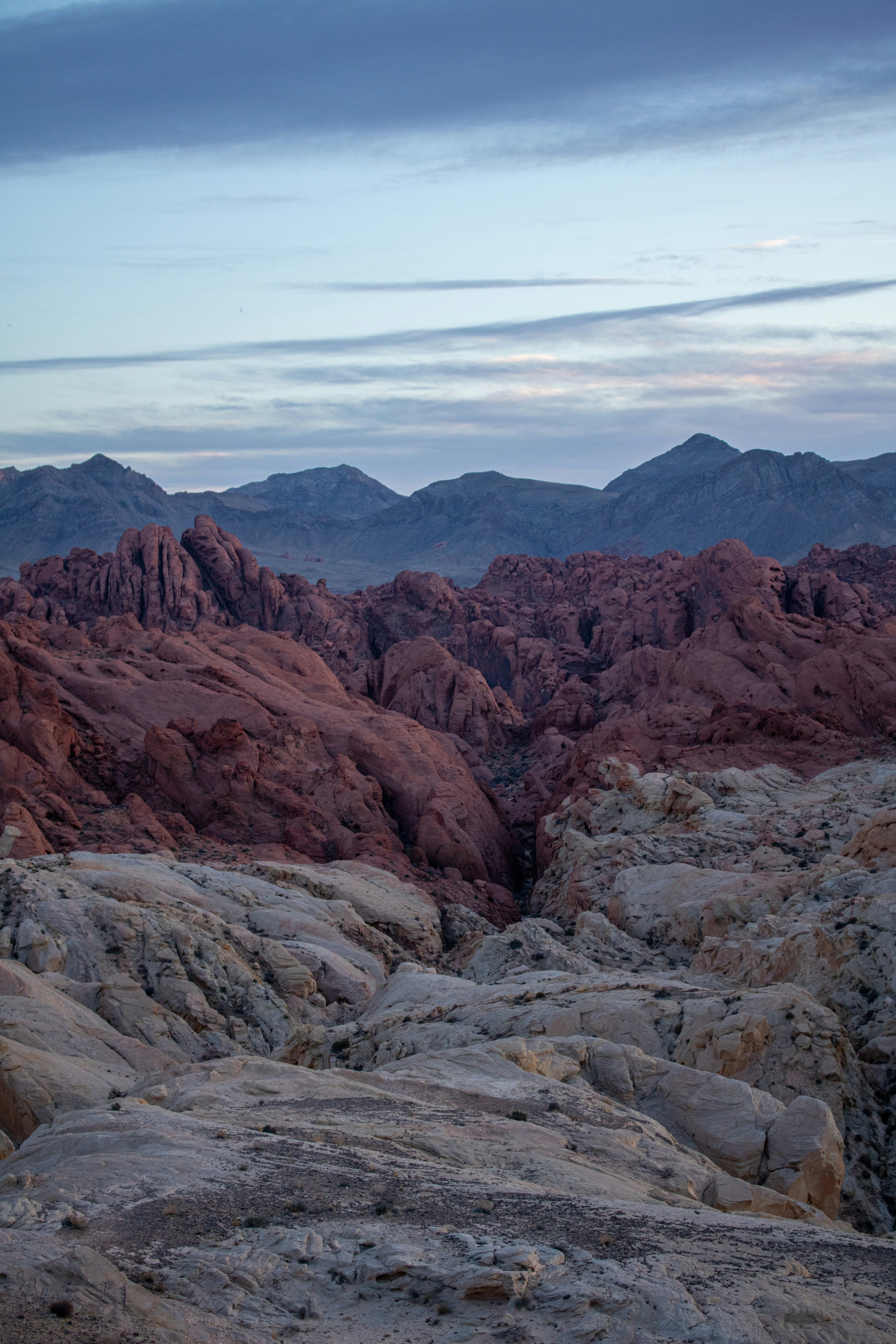 Photo by zoshuacolah