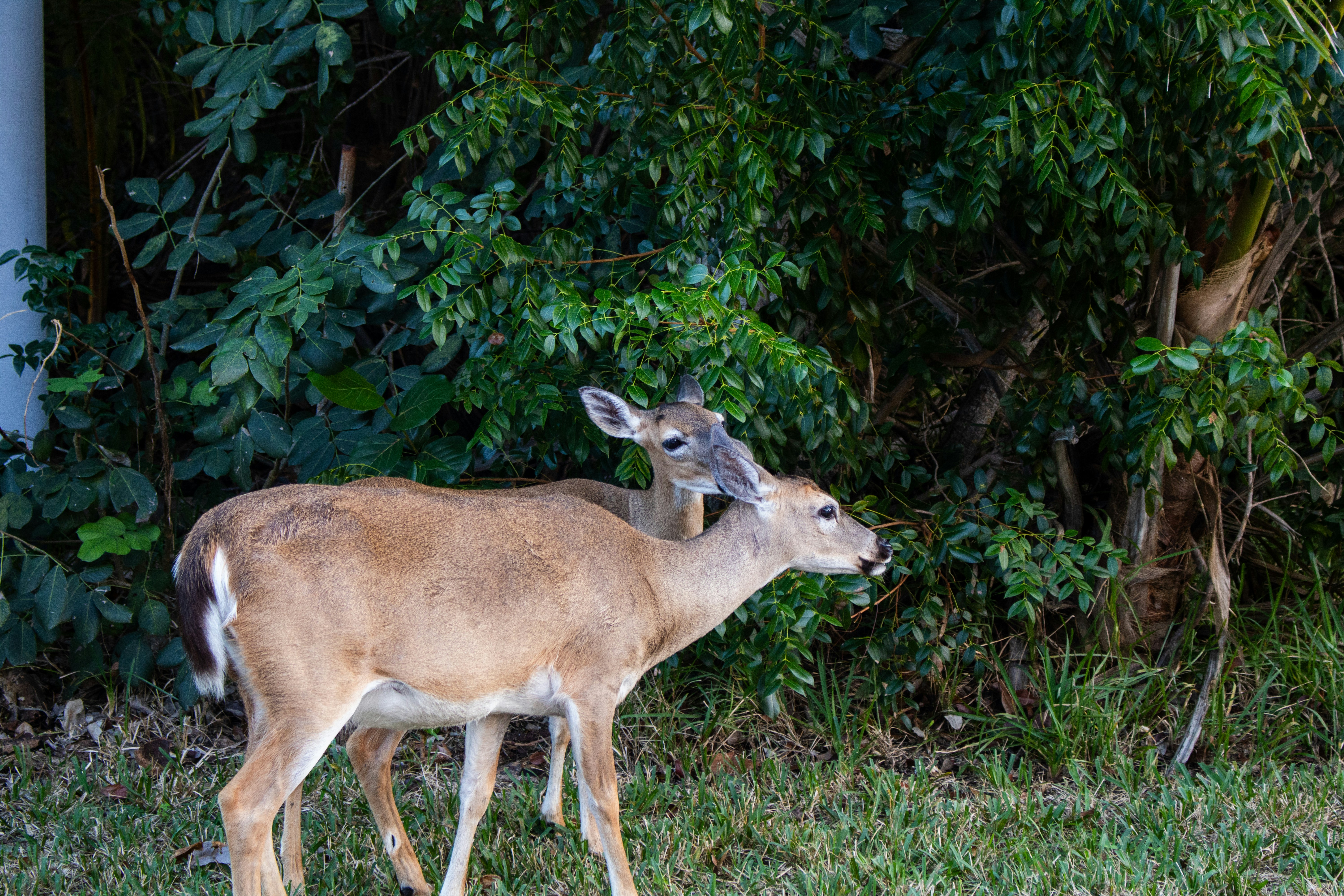 Photo by zoshuacolah