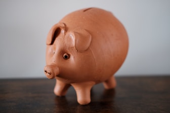 Piggy-bank—custom budgeting for growth goals